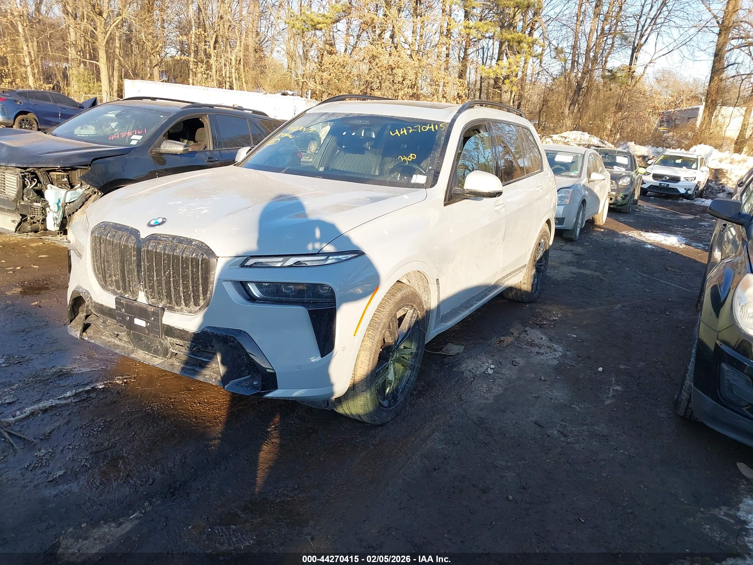 BMW X7 image 2