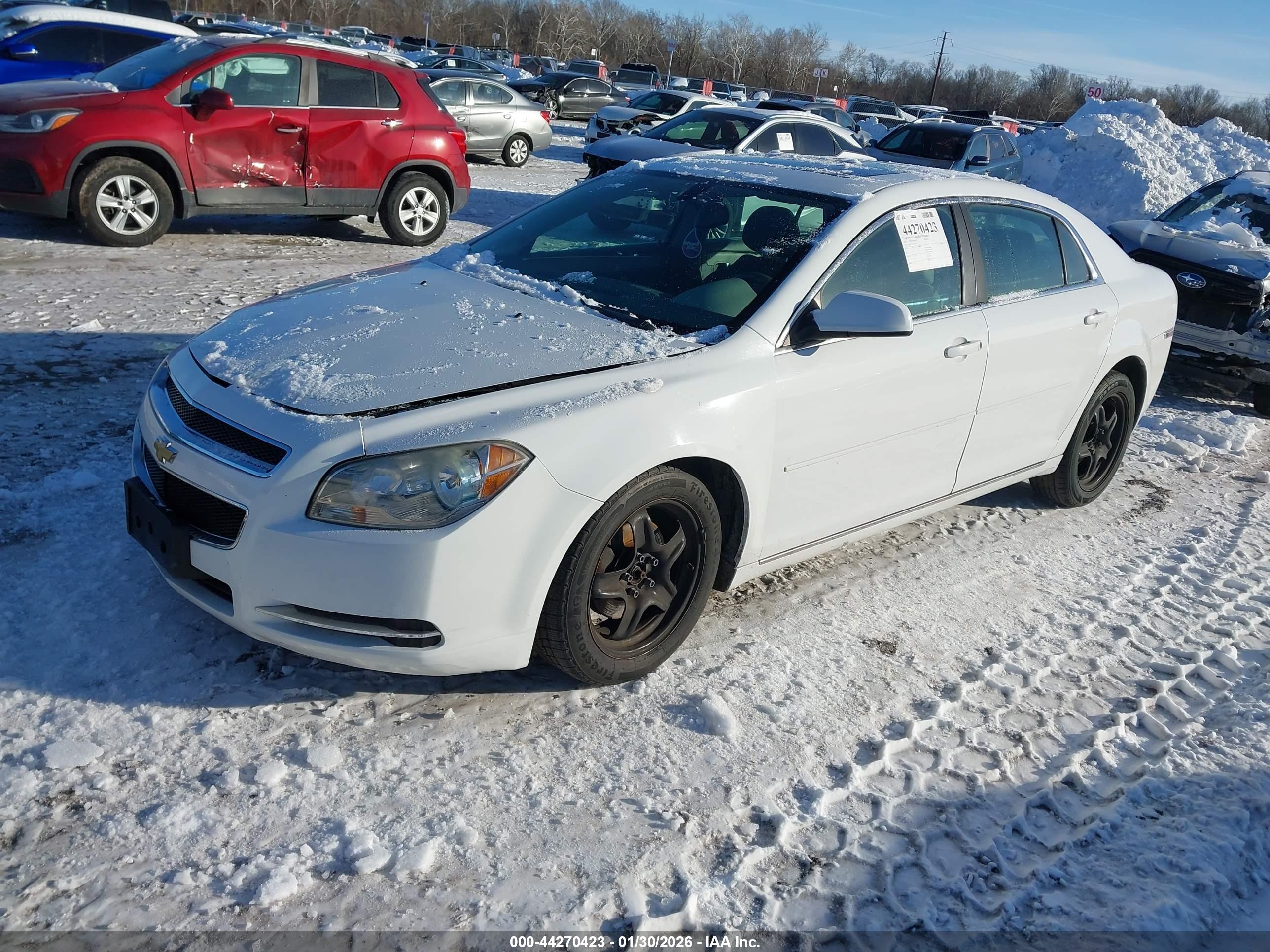 CHEVROLET MALIBU image 2