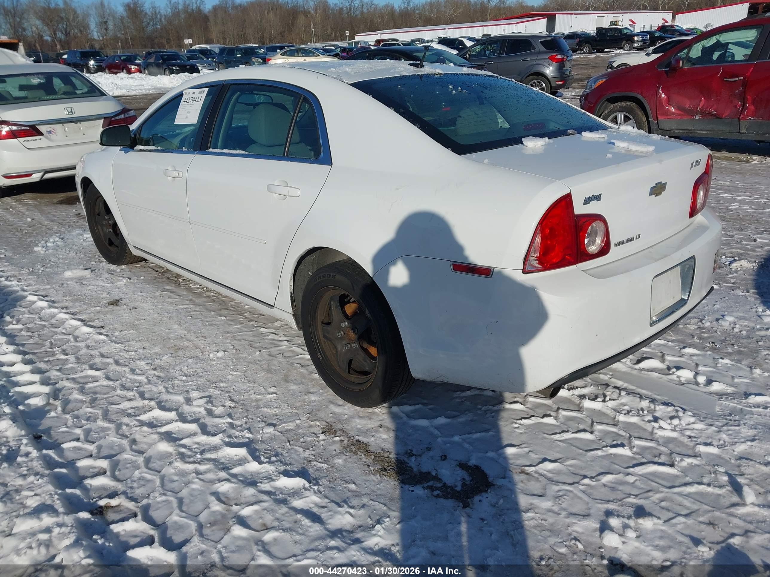 CHEVROLET MALIBU image 3