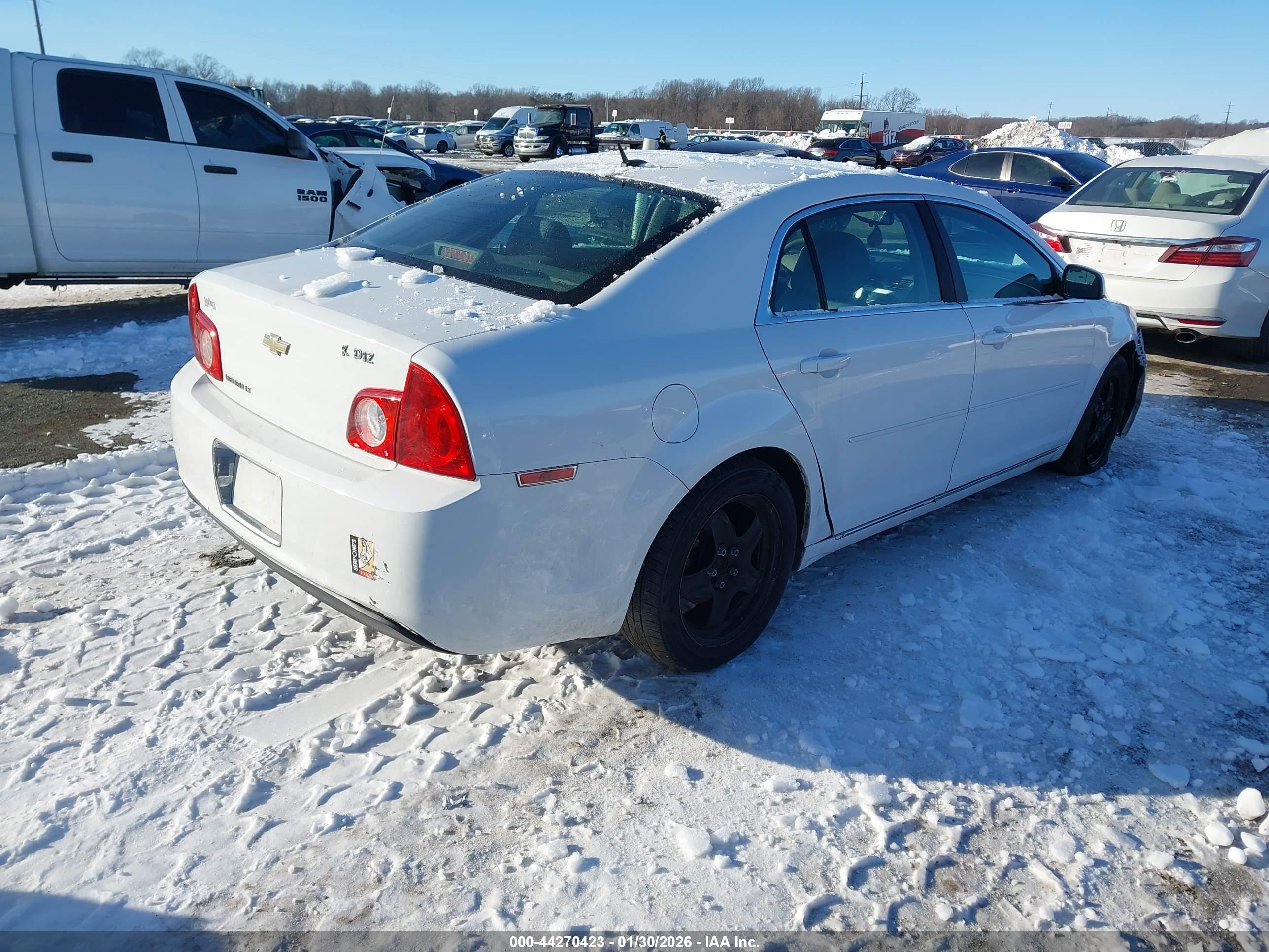 CHEVROLET MALIBU image 4