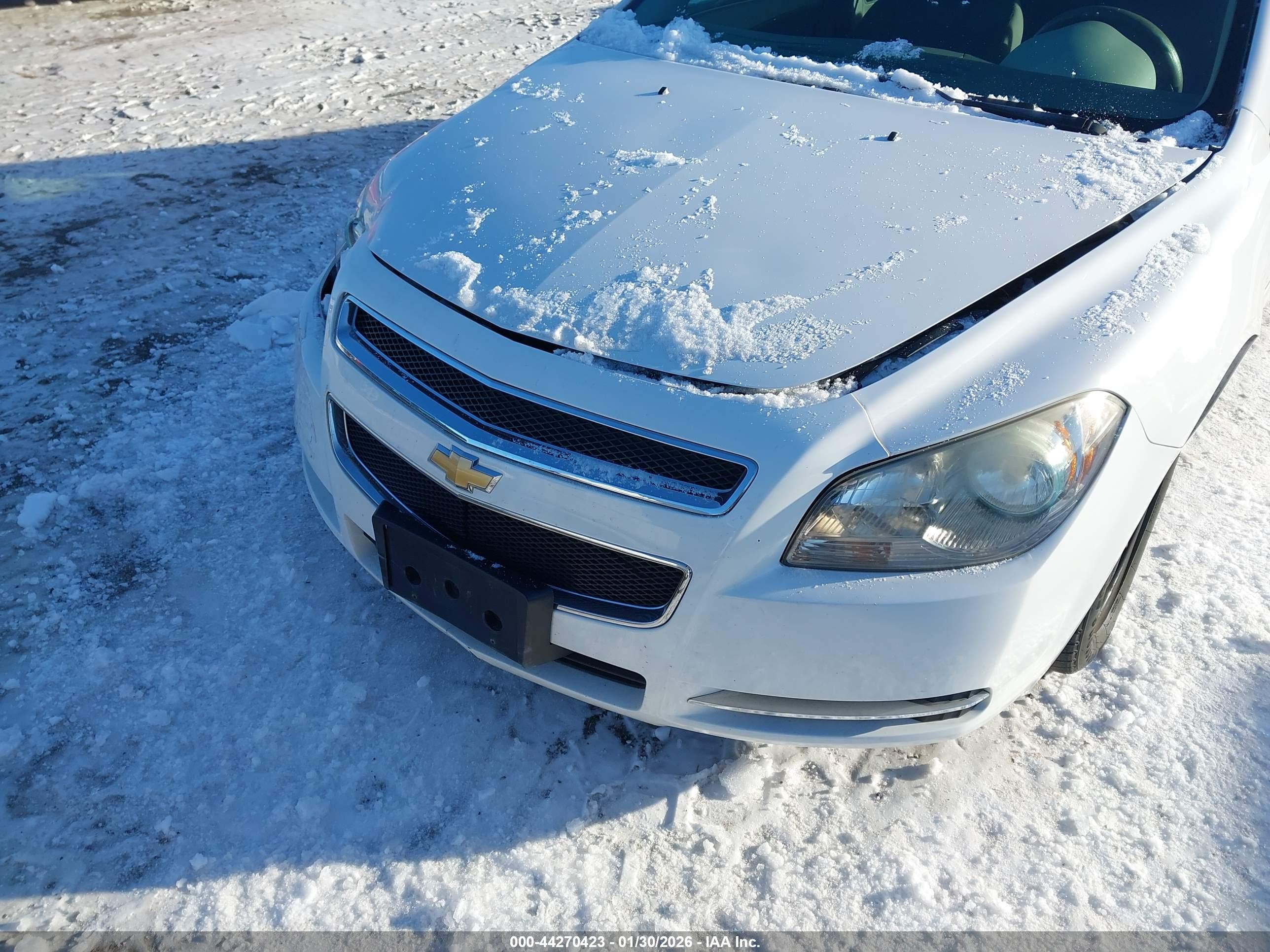 CHEVROLET MALIBU image 6