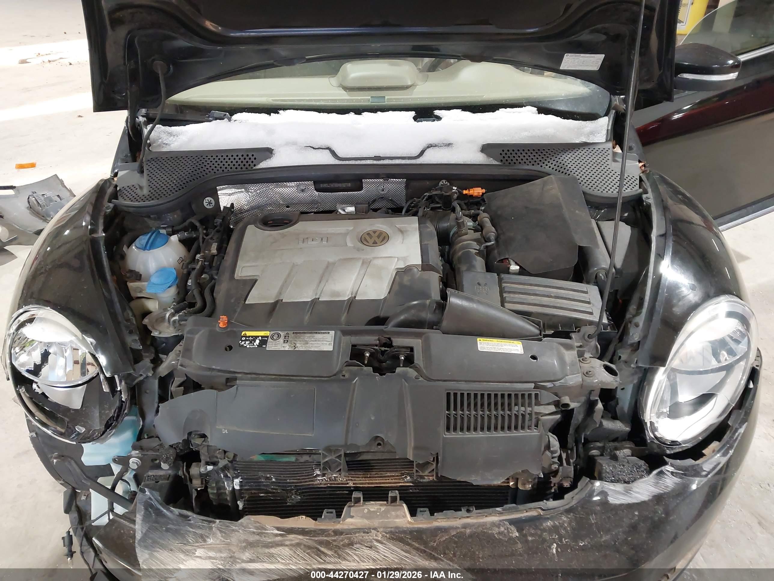 VOLKSWAGEN BEETLE image 10