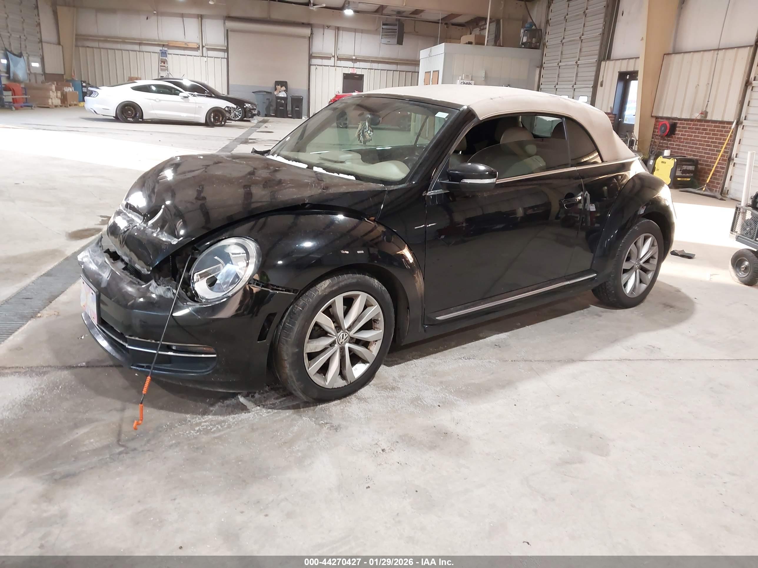 VOLKSWAGEN BEETLE image 2