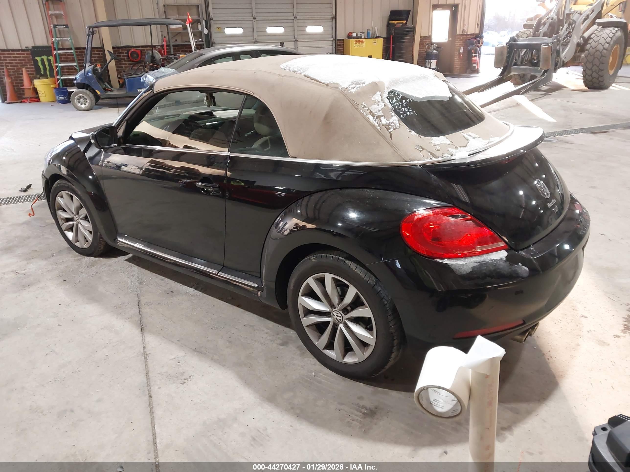 VOLKSWAGEN BEETLE image 3