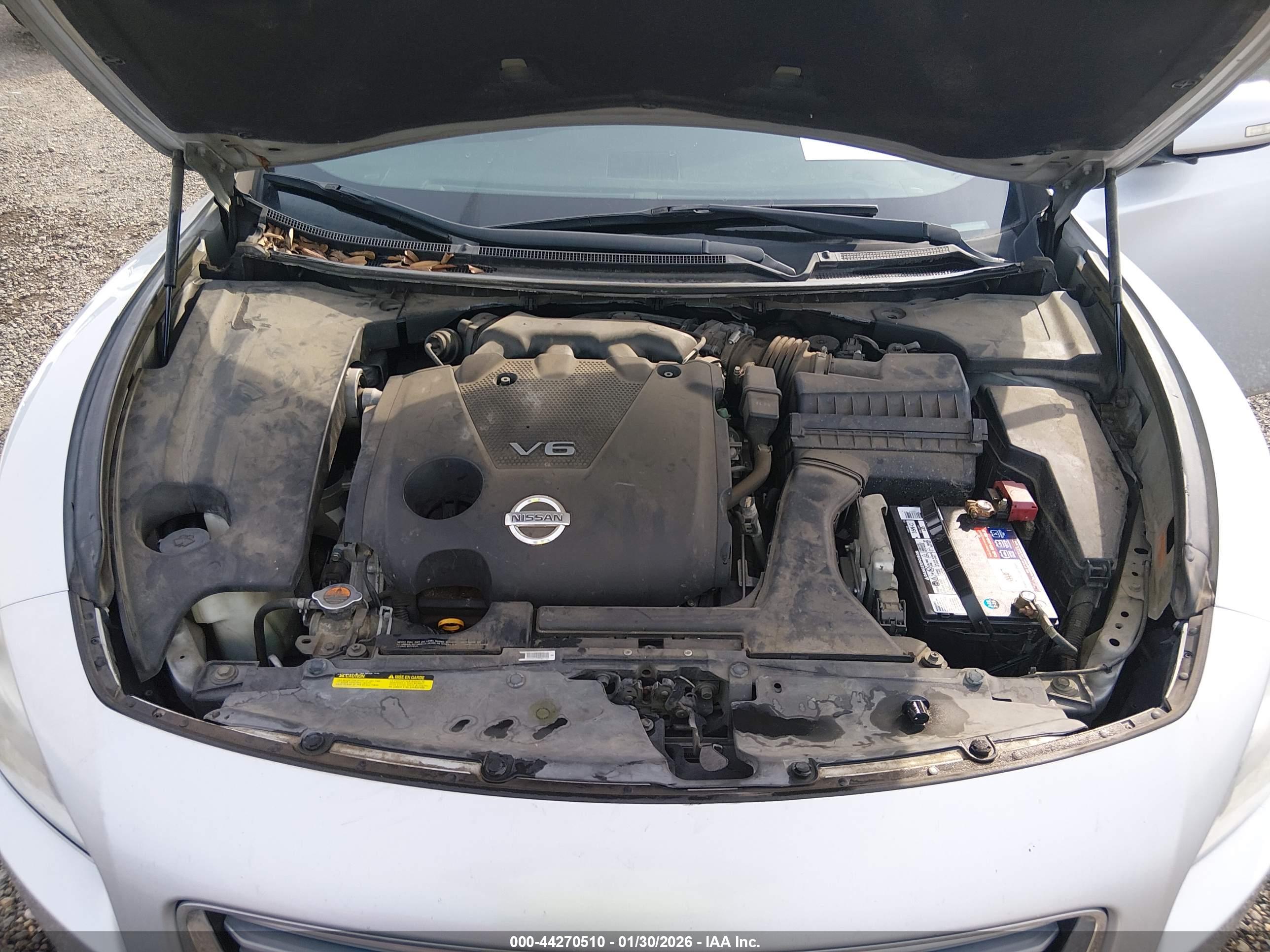NISSAN MAXIMA image 10