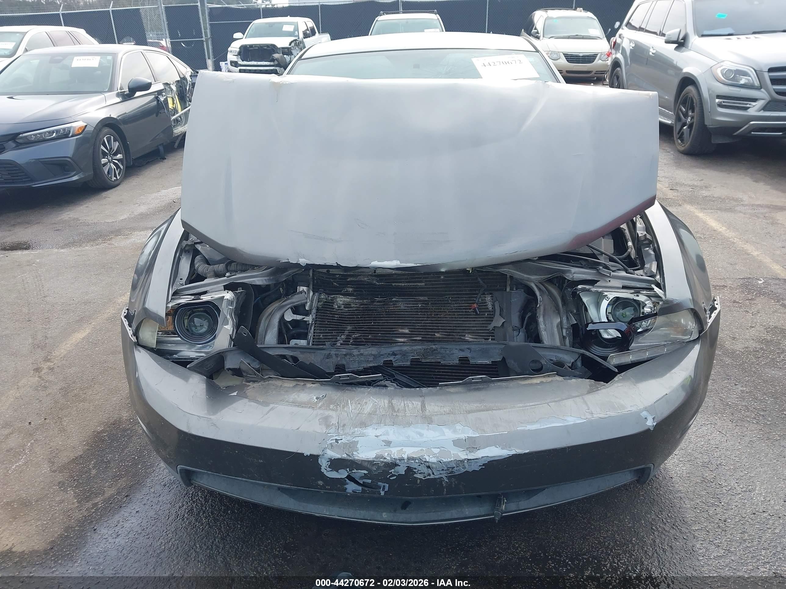FORD MUSTANG image 6