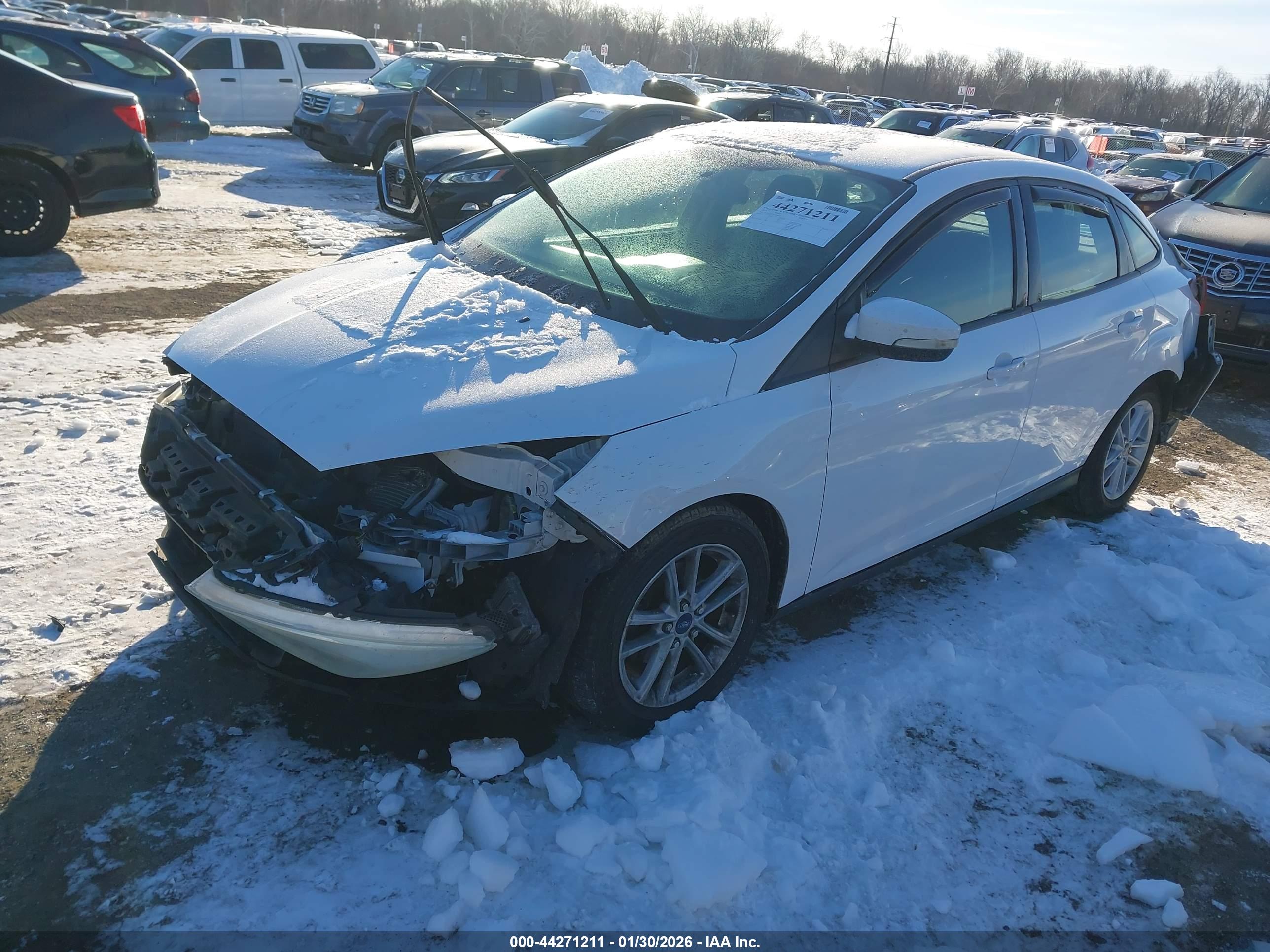FORD FOCUS image 2