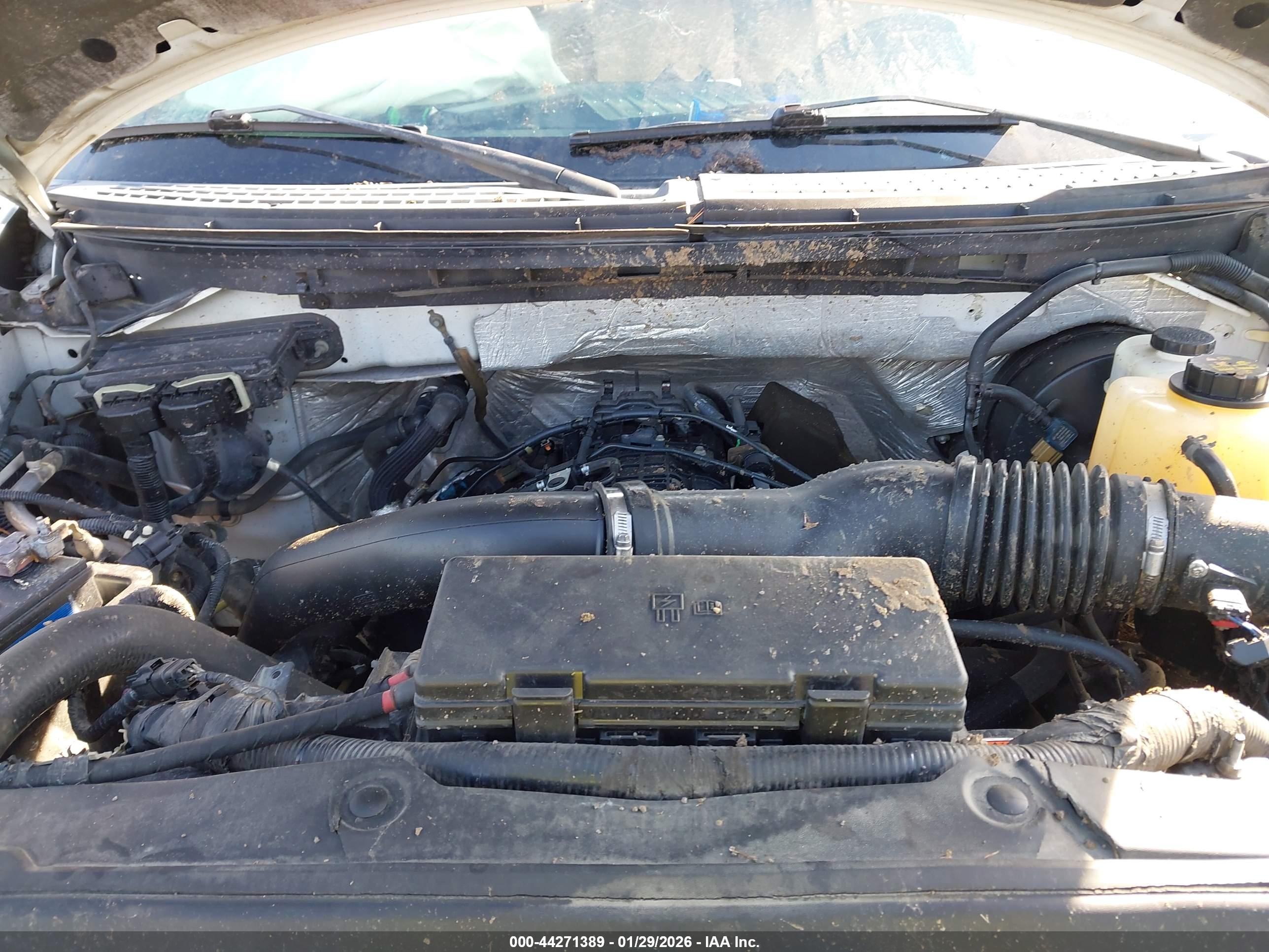 FORD F-150 image 10