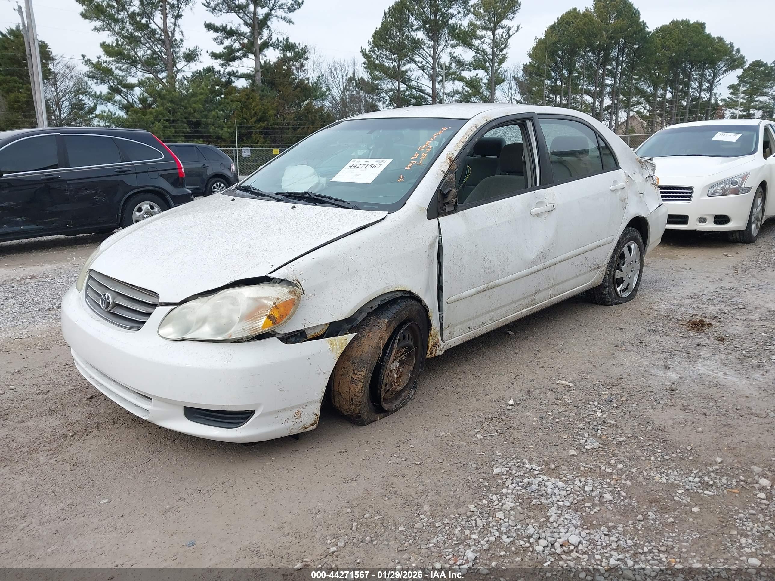 TOYOTA COROLLA image 2