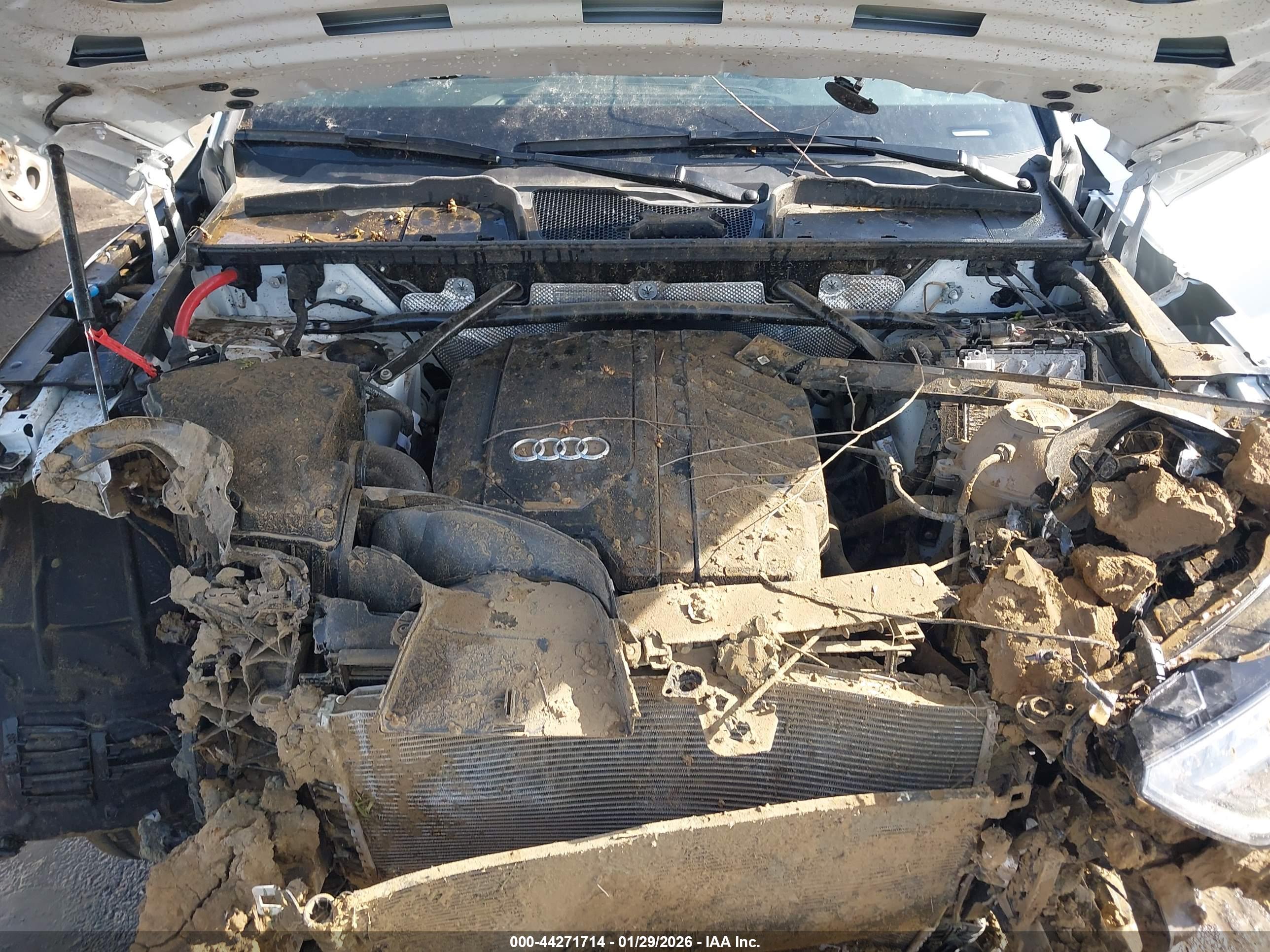 AUDI Q5 image 10