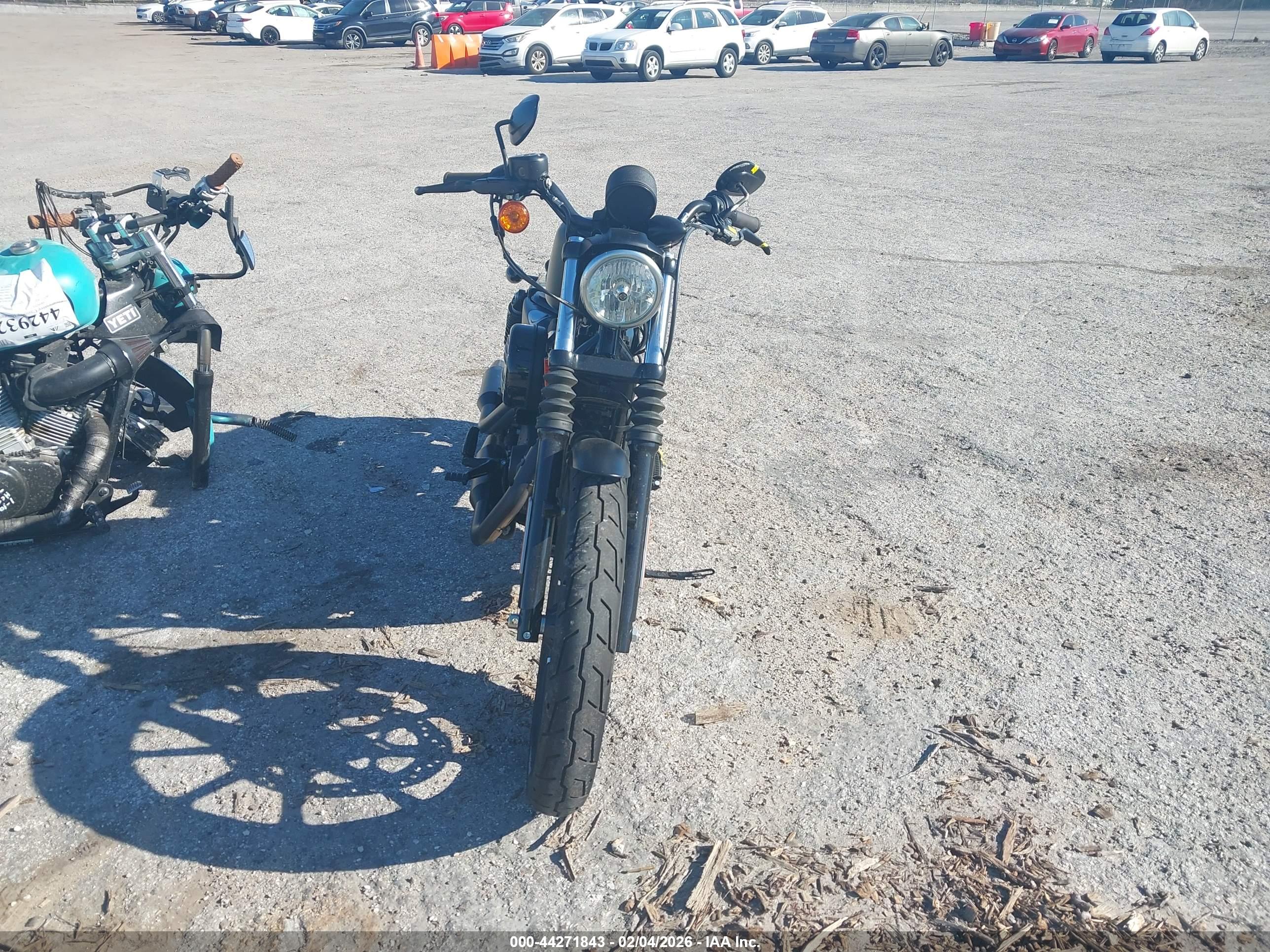 HARLEY-DAVIDSON XL883 image 5