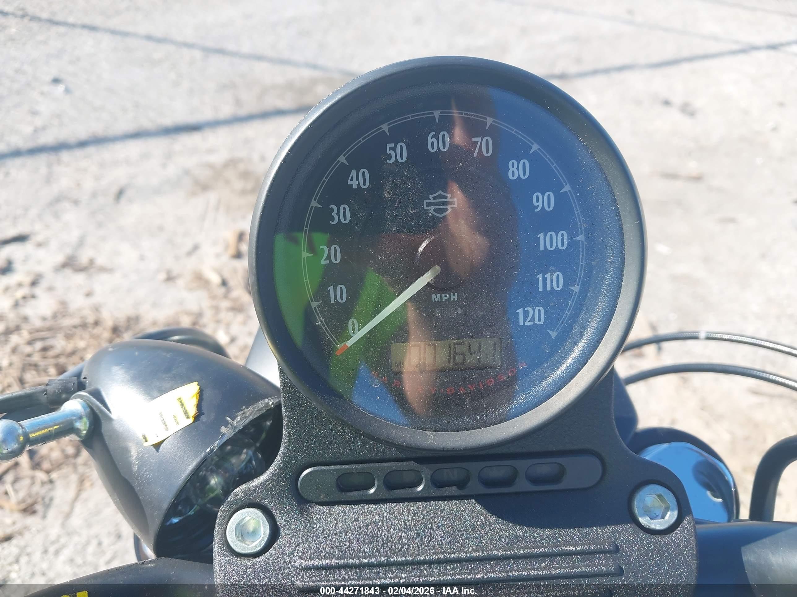 HARLEY-DAVIDSON XL883 image 7