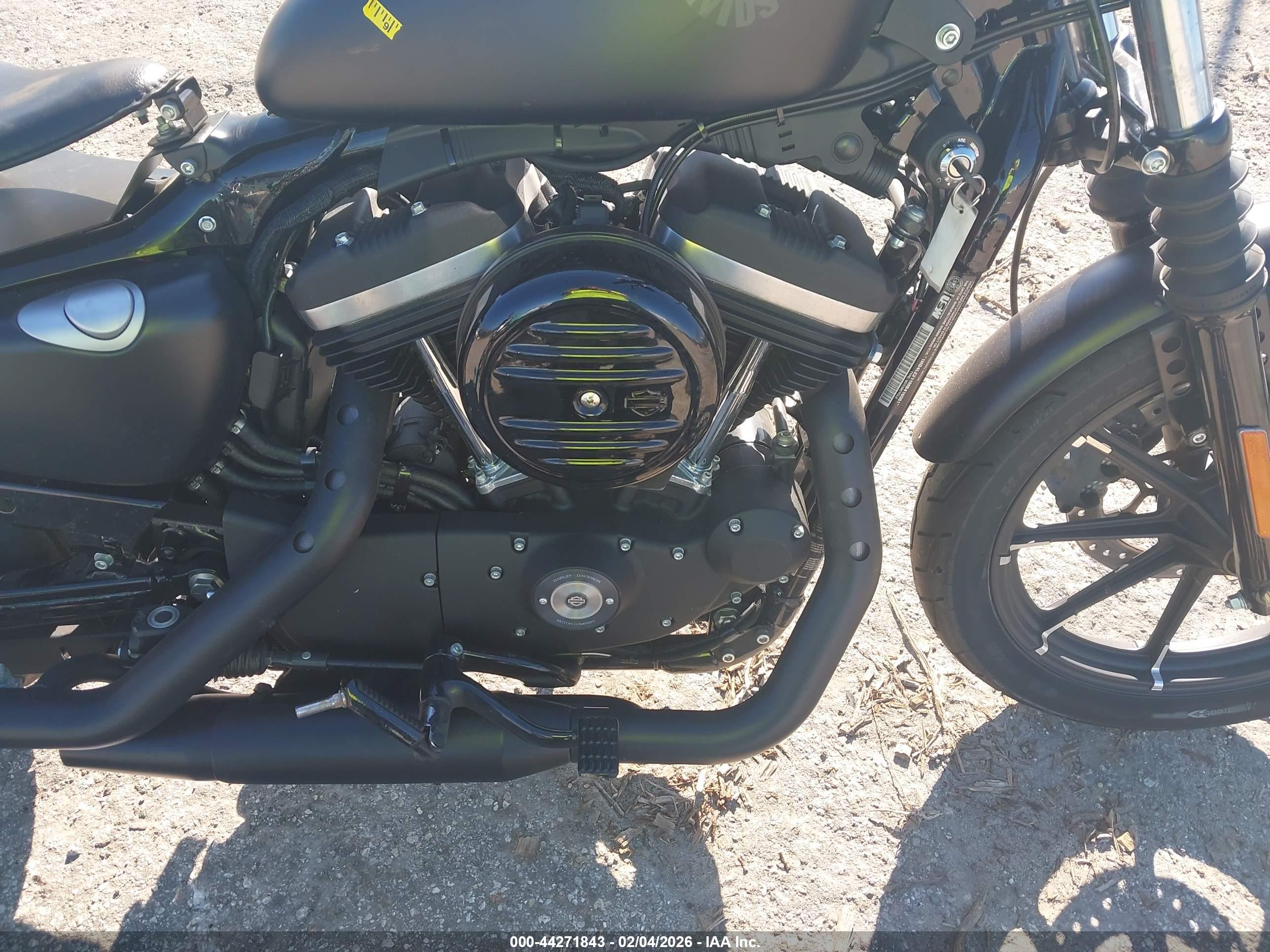 HARLEY-DAVIDSON XL883 image 8
