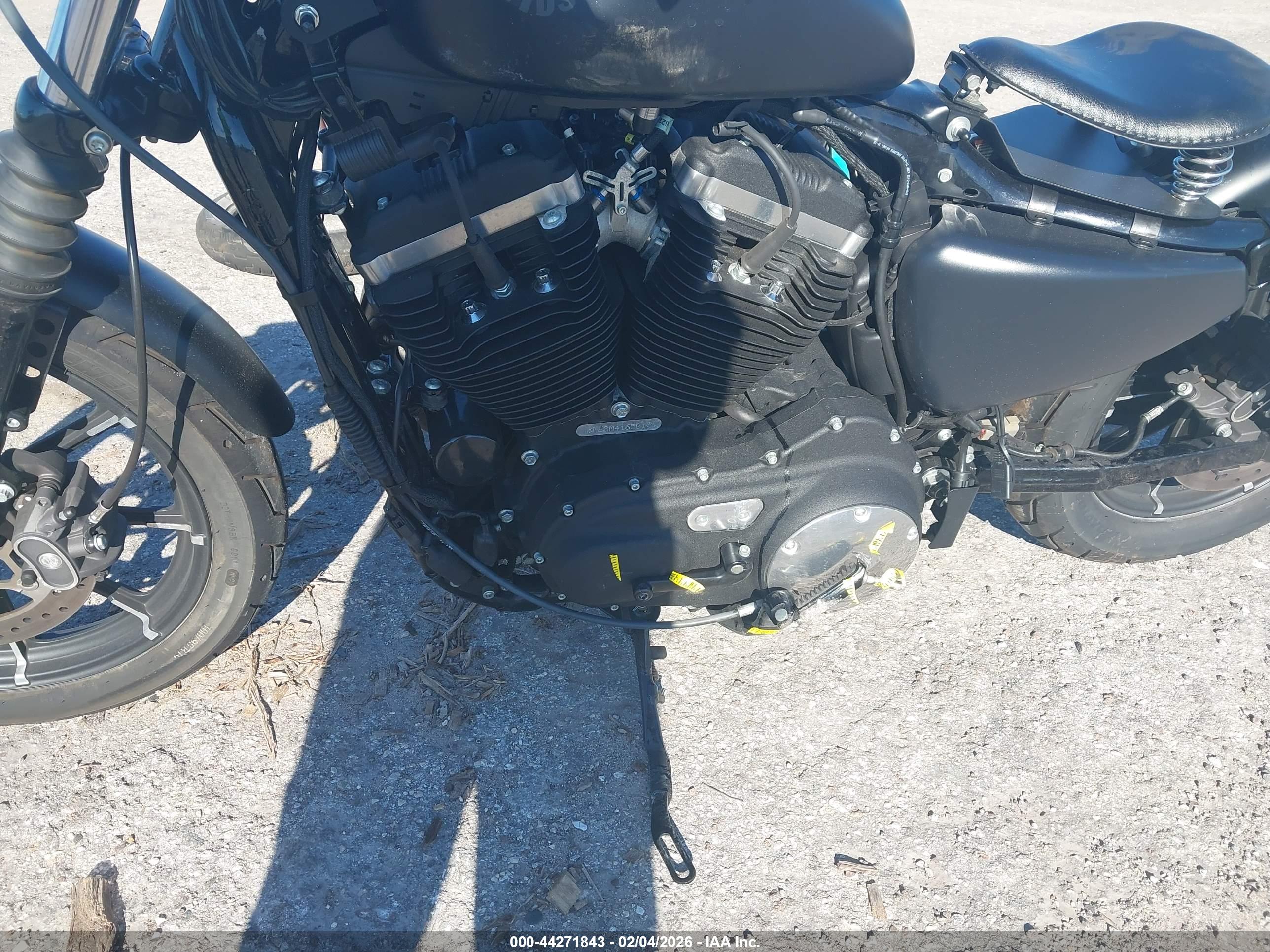 HARLEY-DAVIDSON XL883 image 9