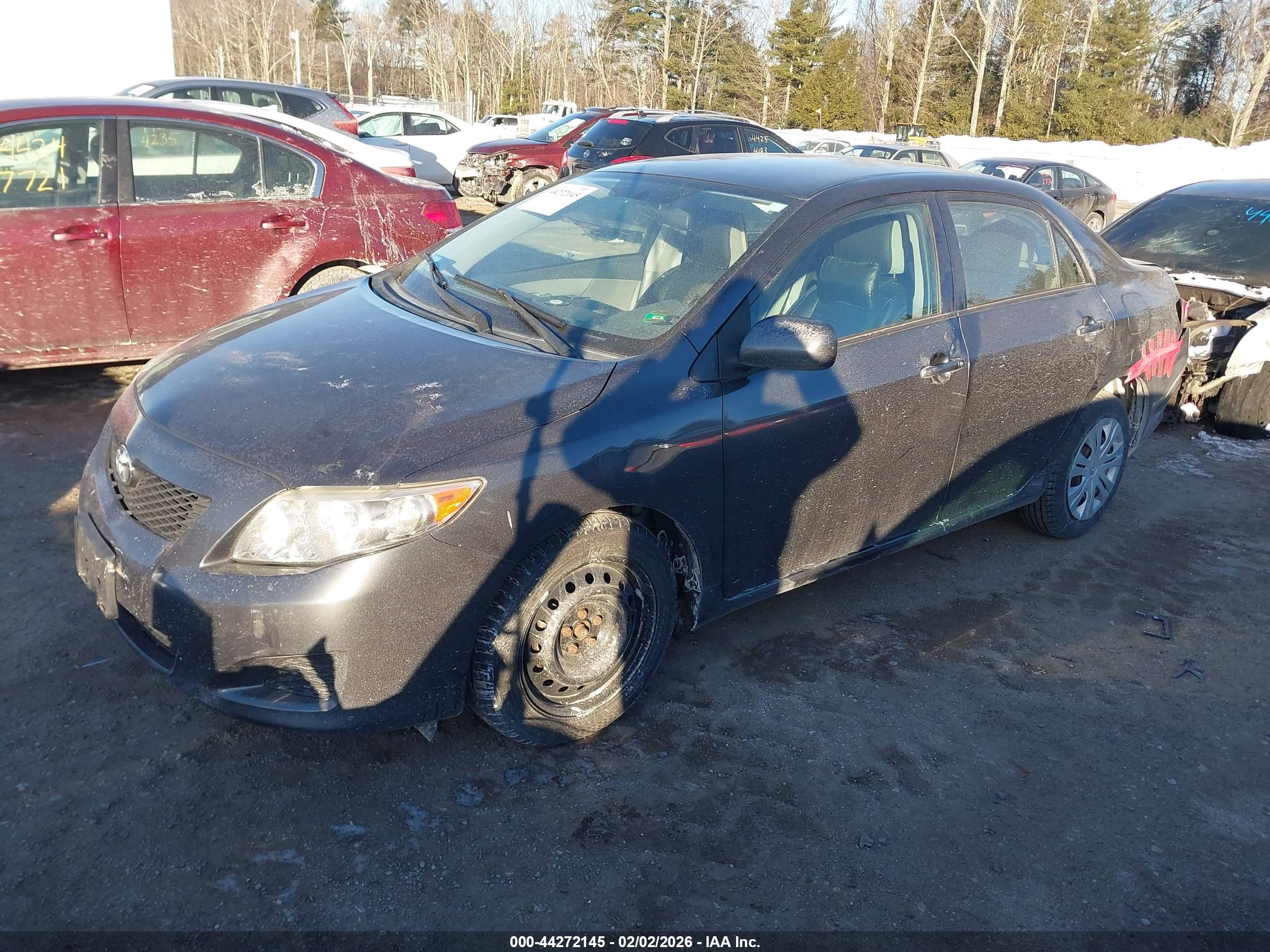 TOYOTA COROLLA image 2