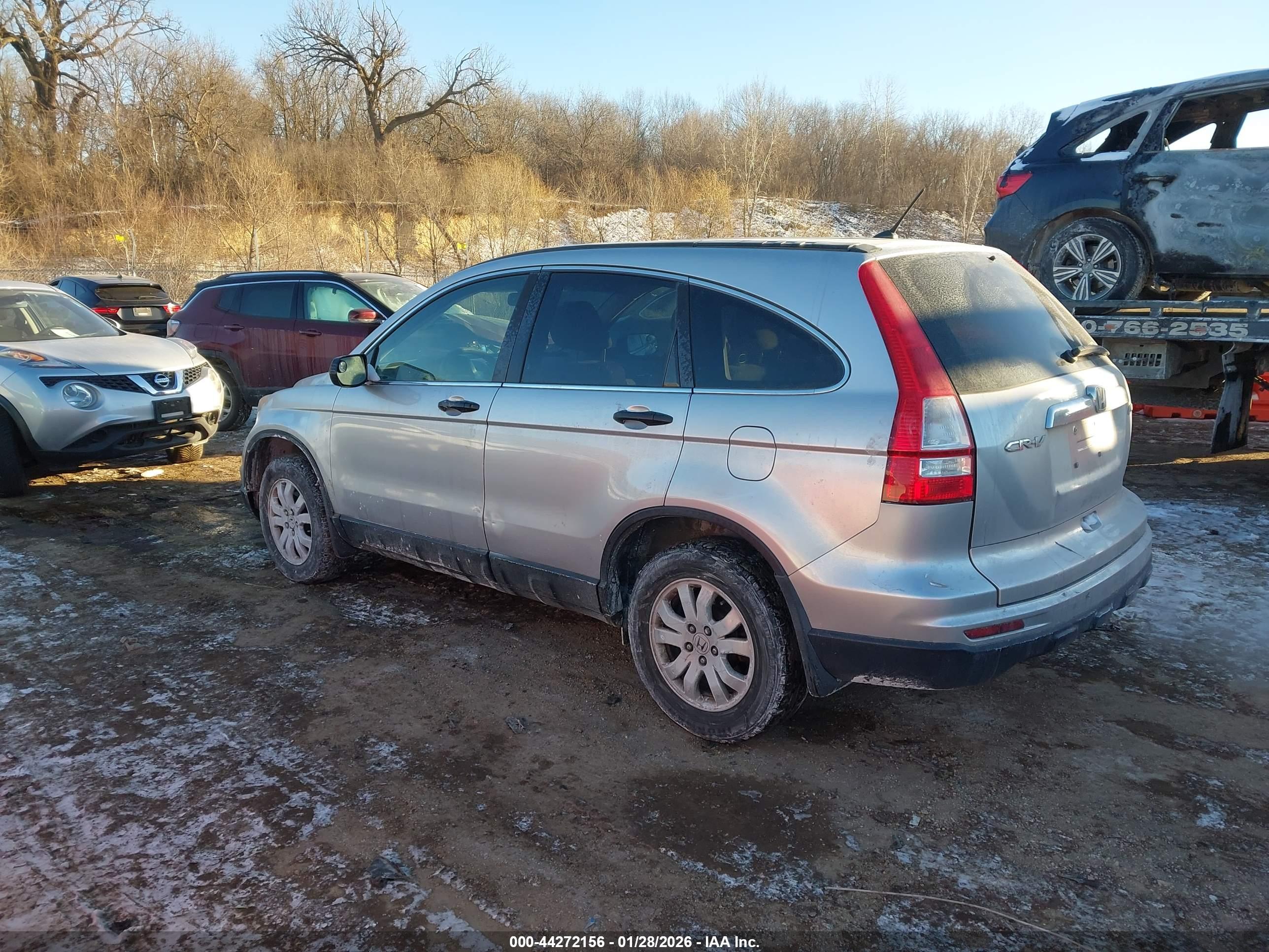 HONDA CR-V image 3