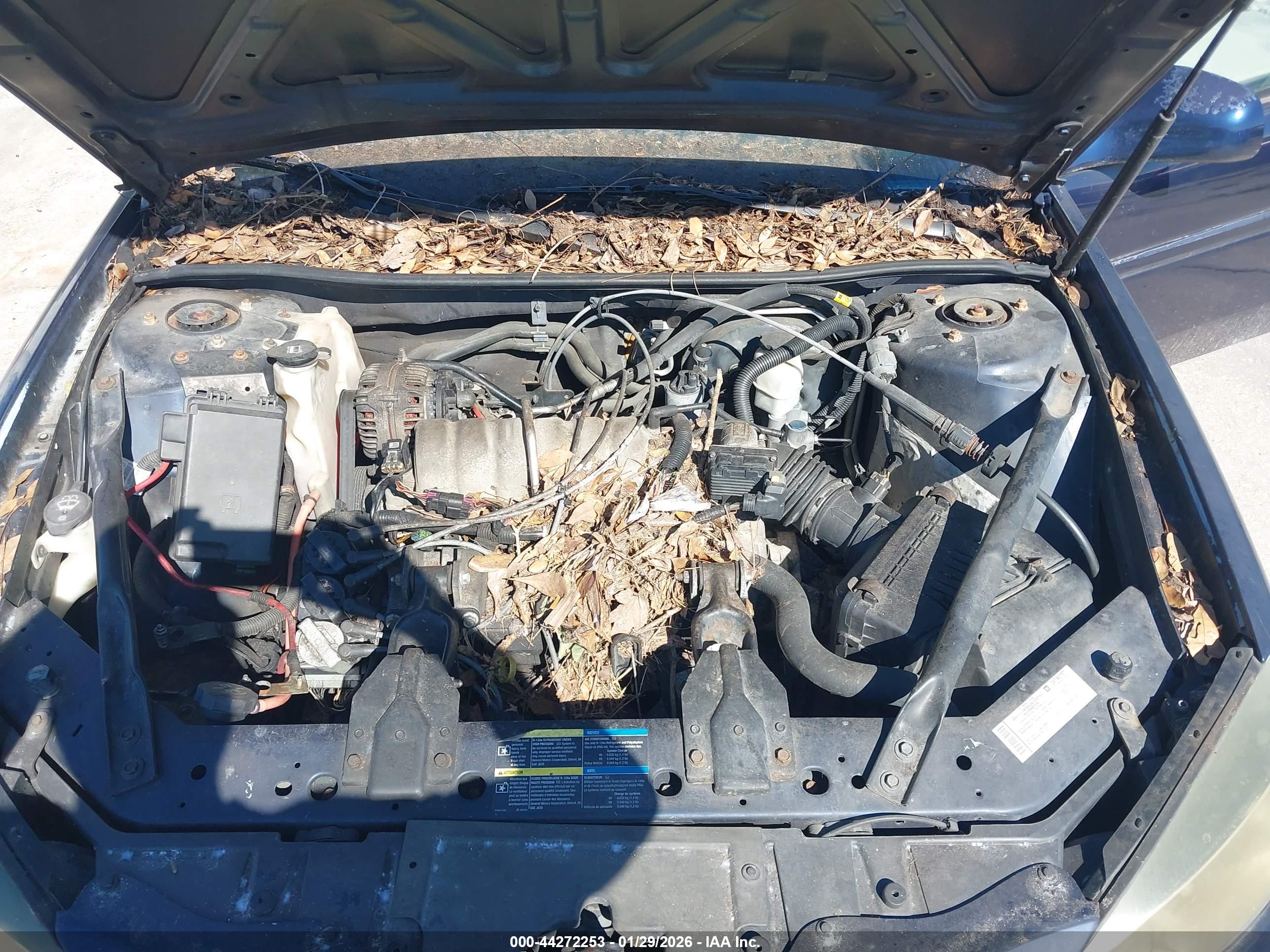 PONTIAC GRAND image 10