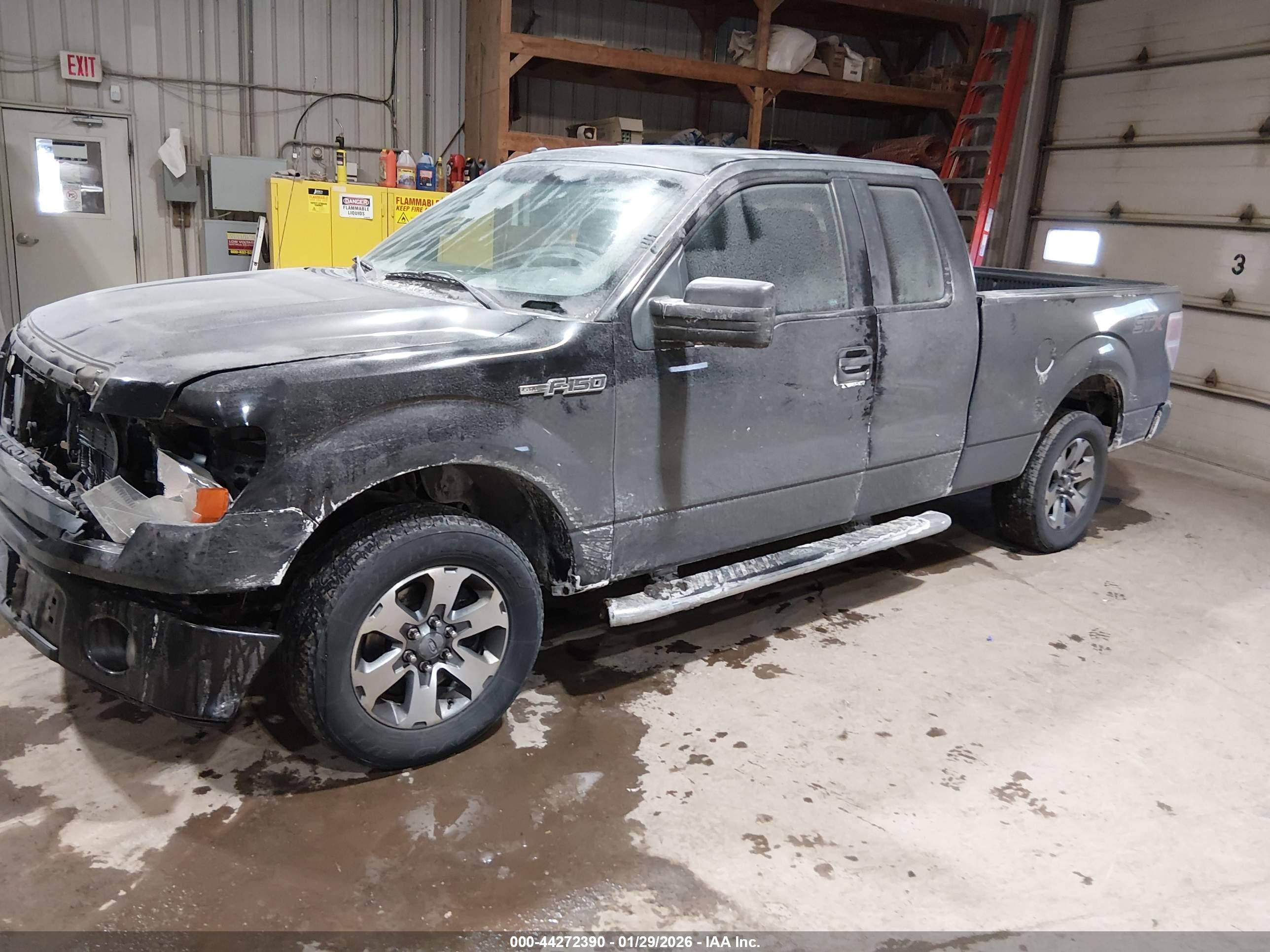 FORD F-150 image 2