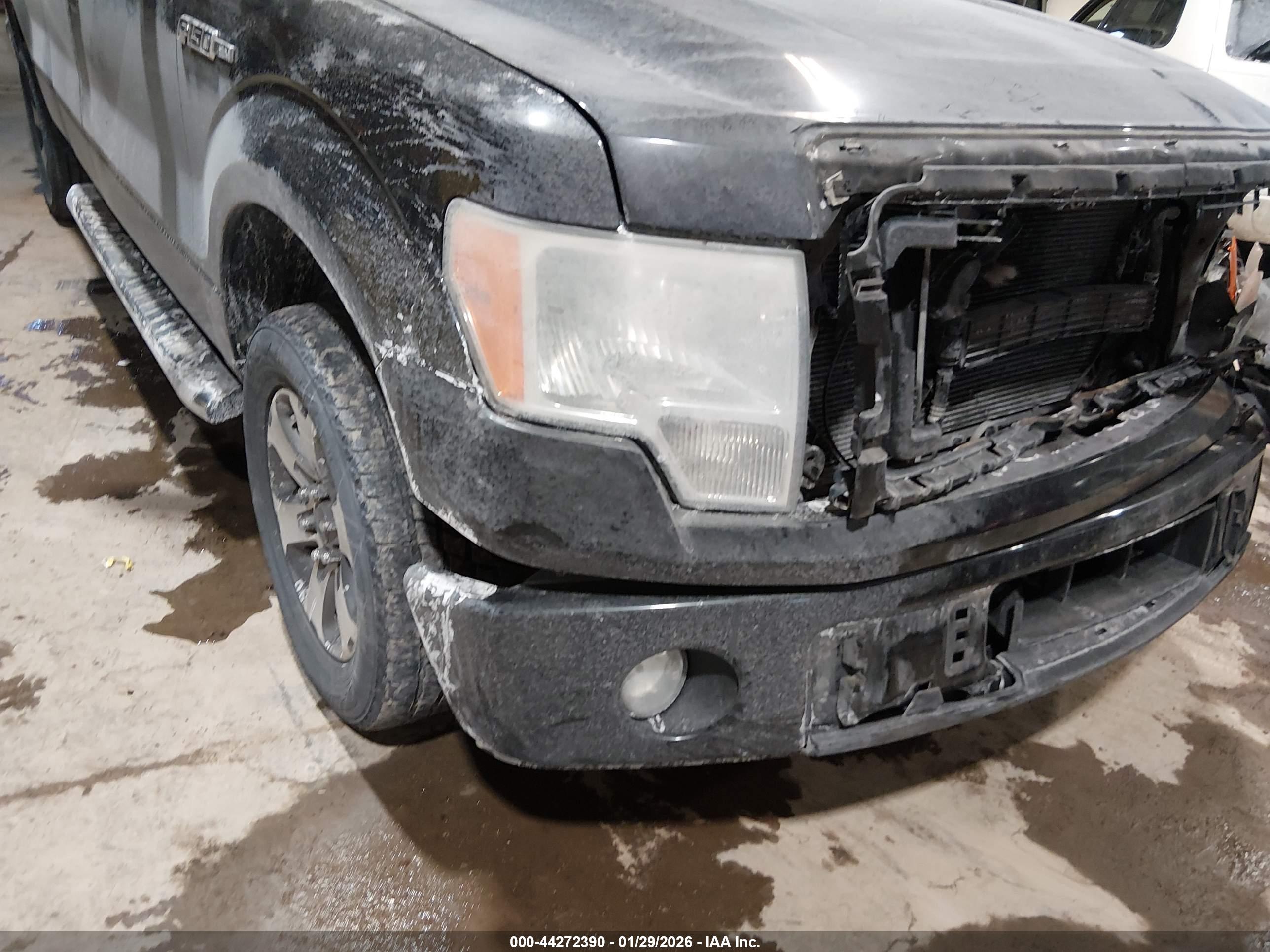 FORD F-150 image 6