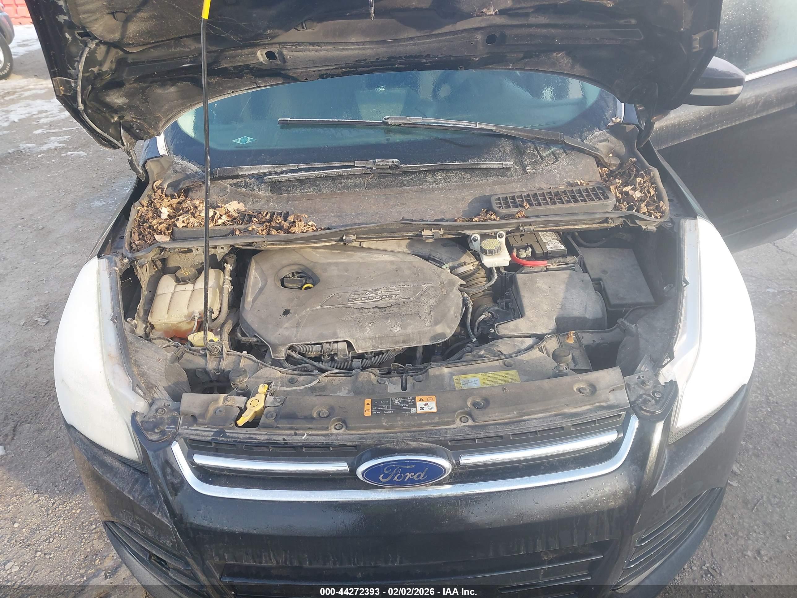FORD ESCAPE image 10