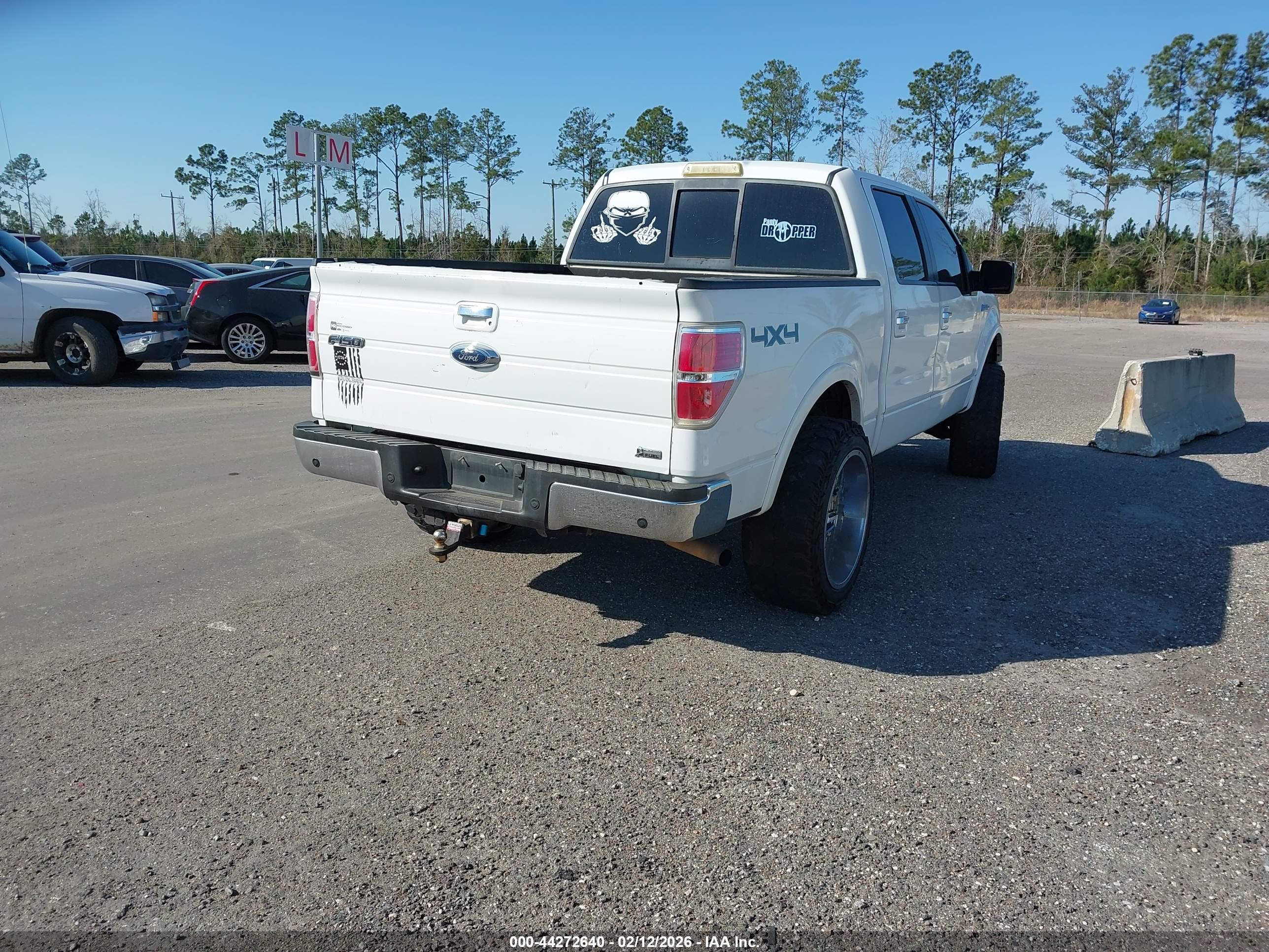 FORD F-150 image 4
