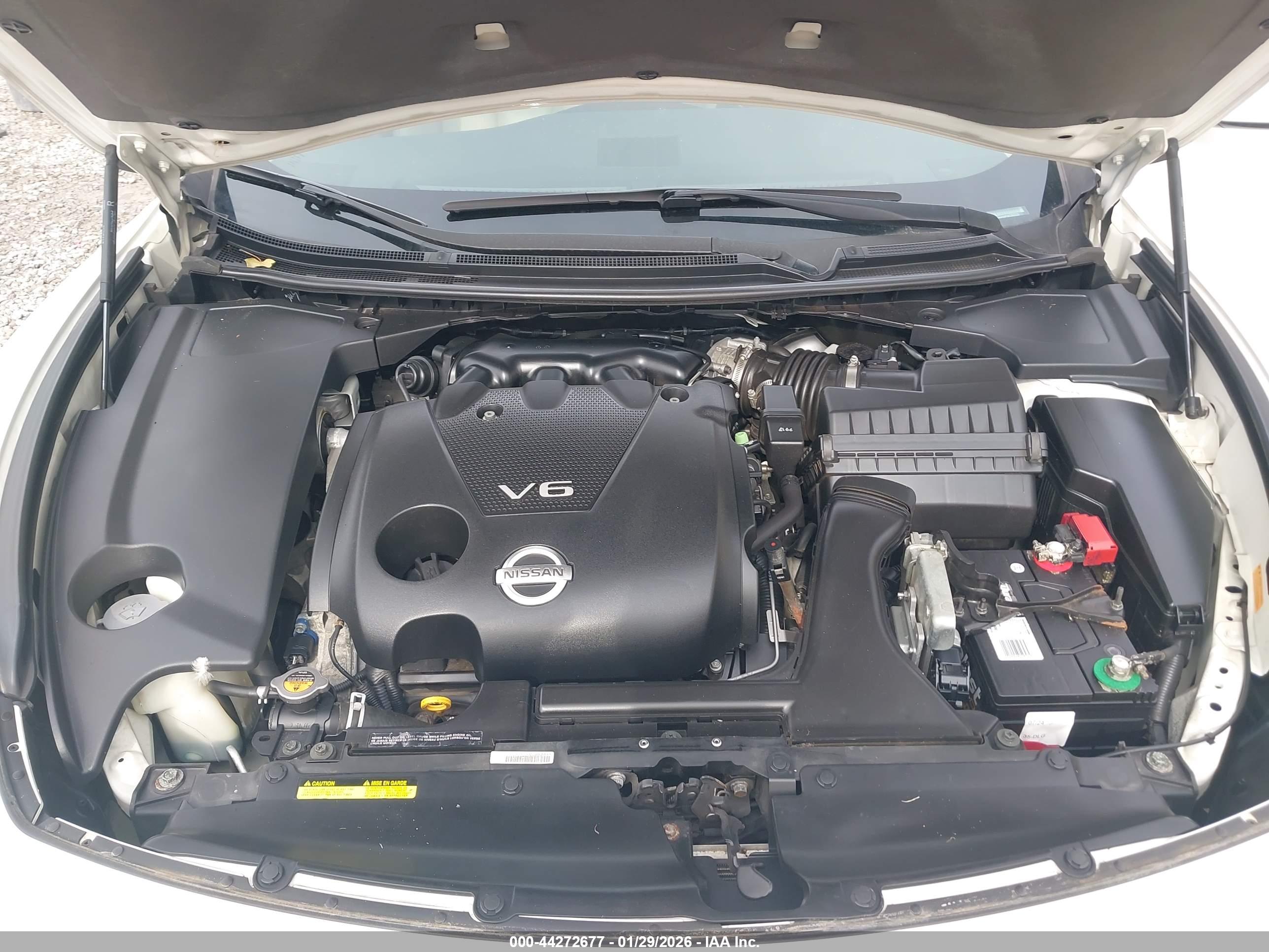 NISSAN MAXIMA image 10