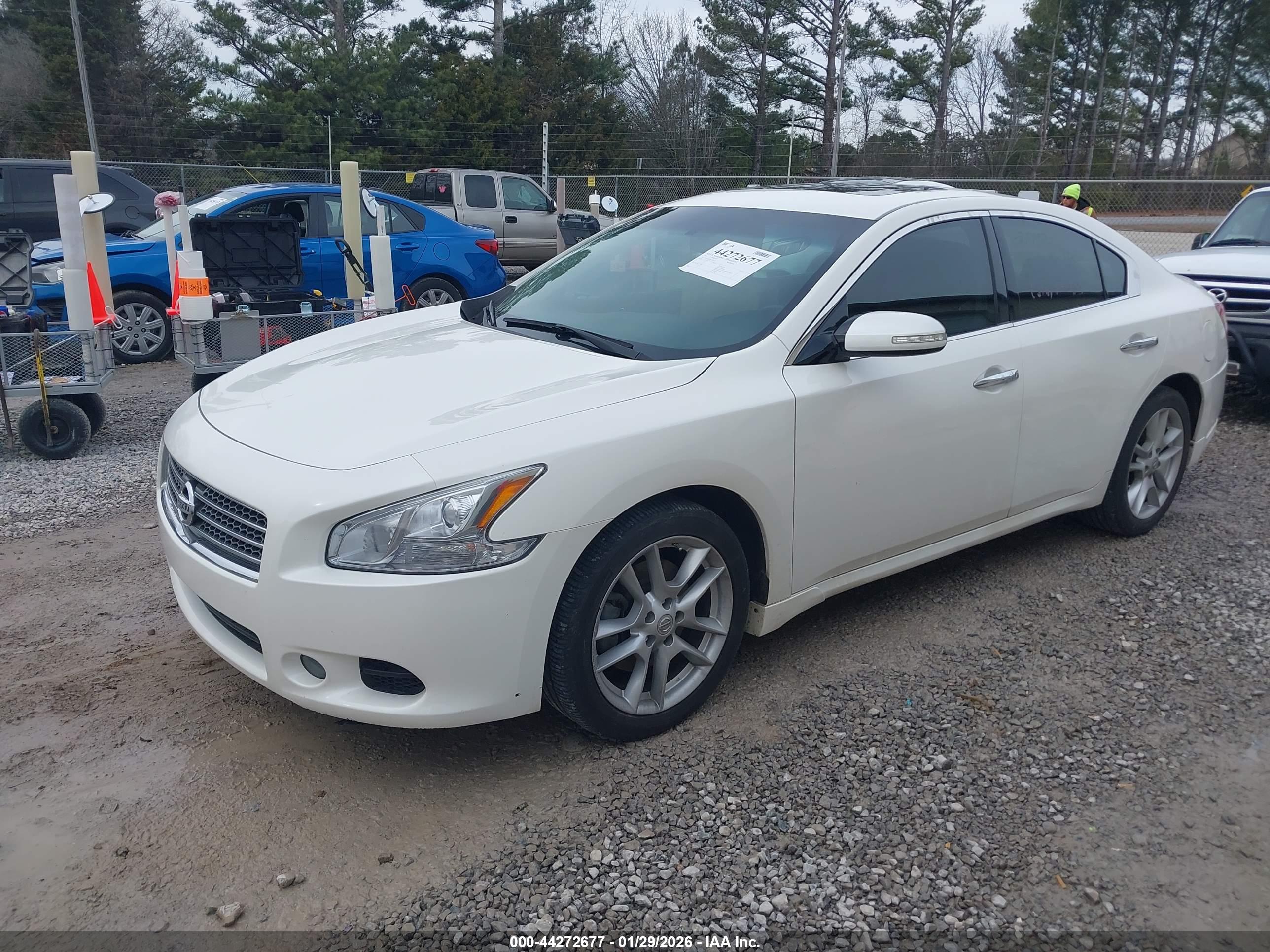 NISSAN MAXIMA image 2