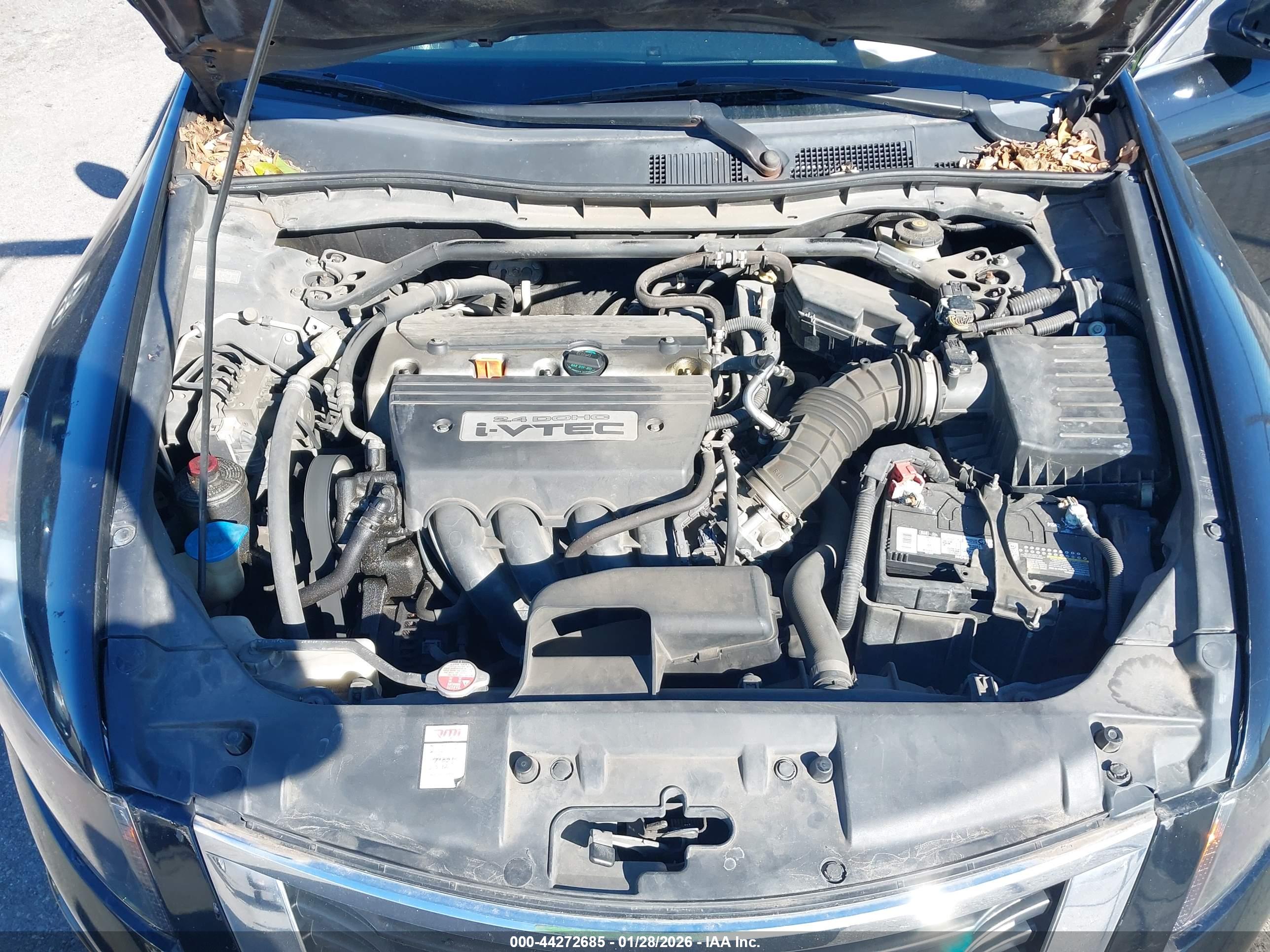 HONDA ACCORD image 10