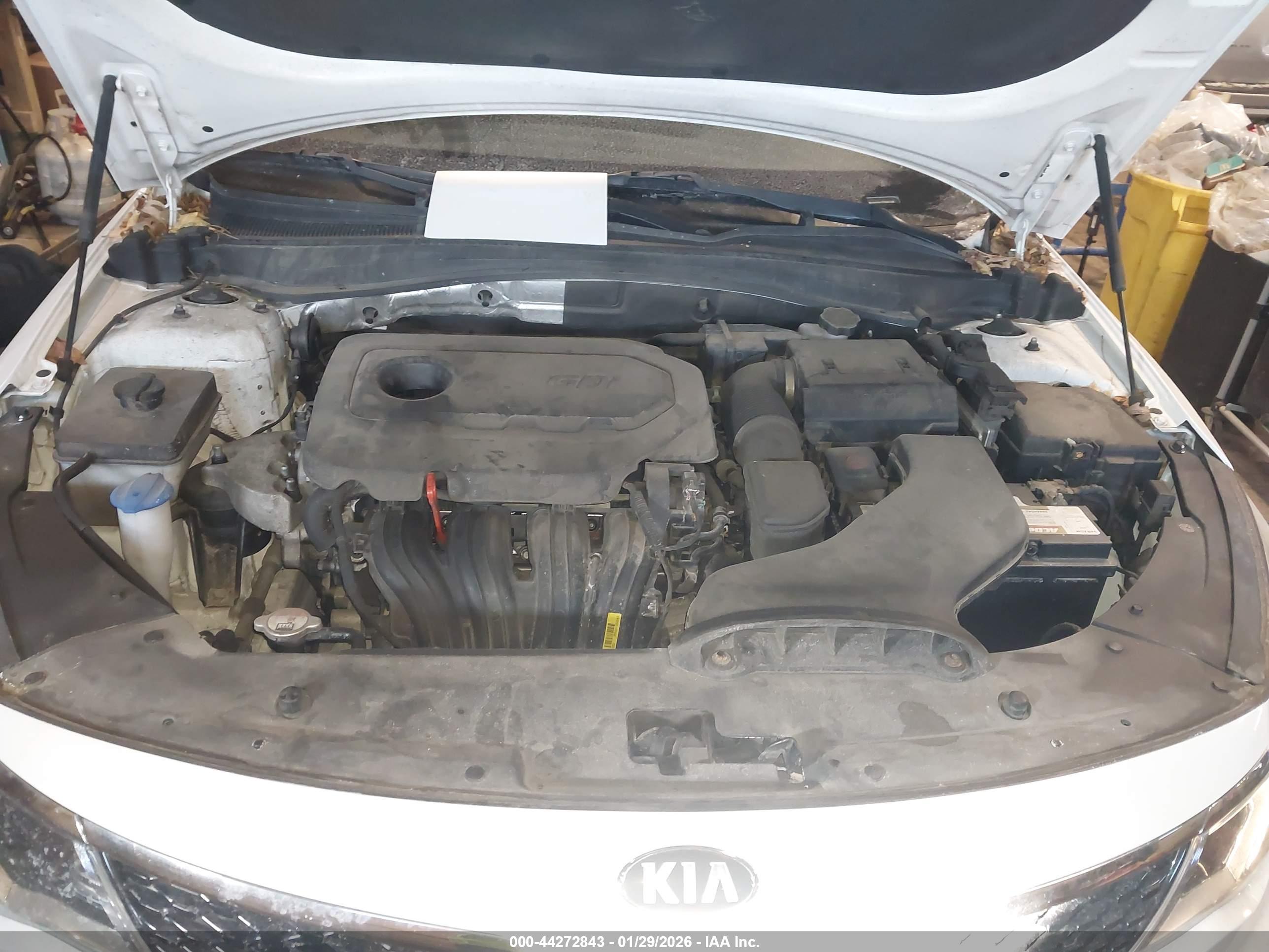 KIA OPTIMA image 10