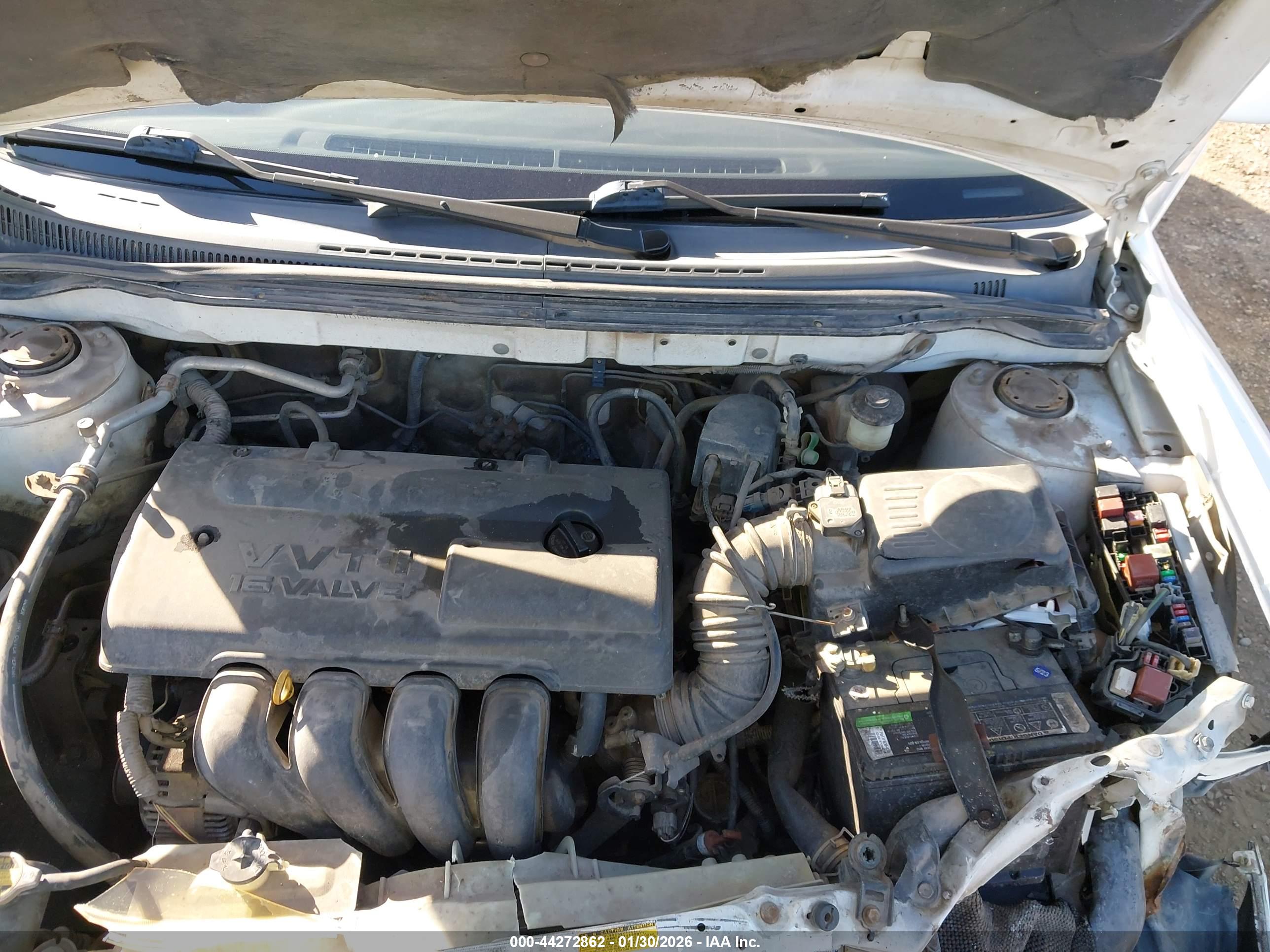 TOYOTA COROLLA image 10