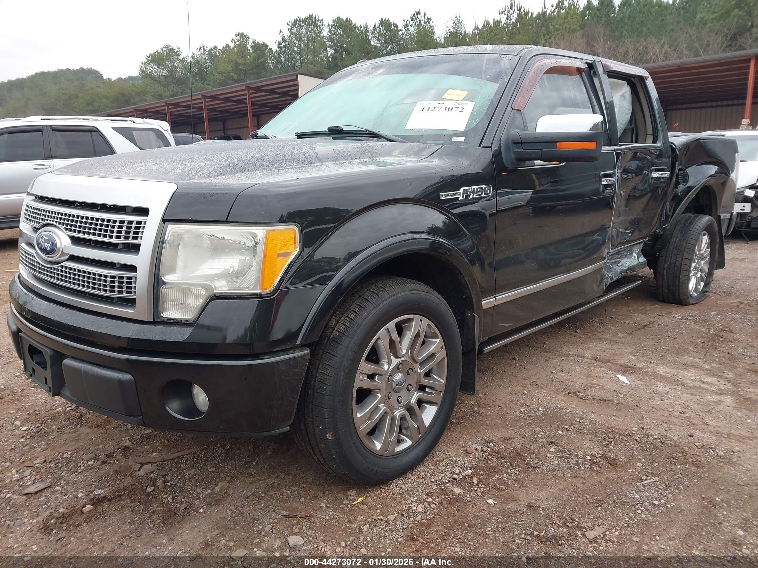 FORD F-150 image 2