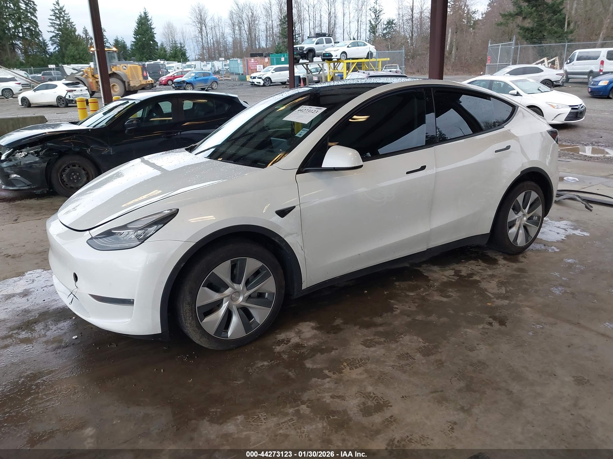 TESLA MODEL image 2