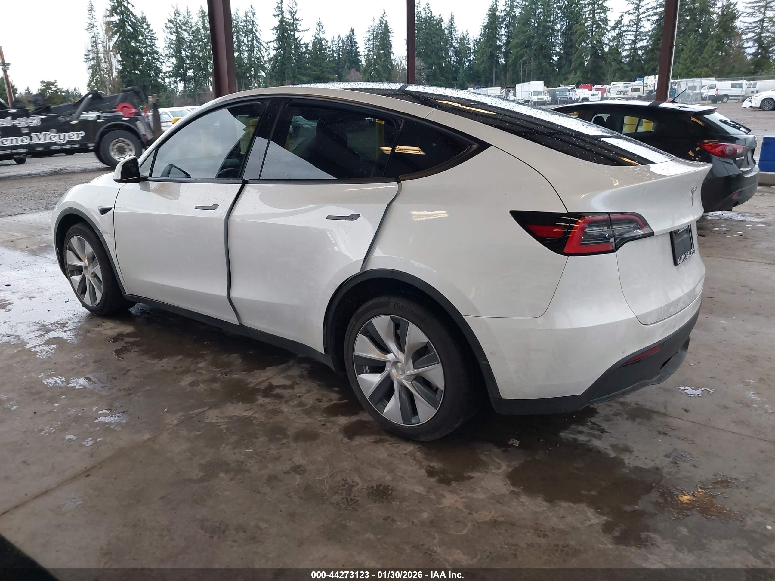 TESLA MODEL image 3