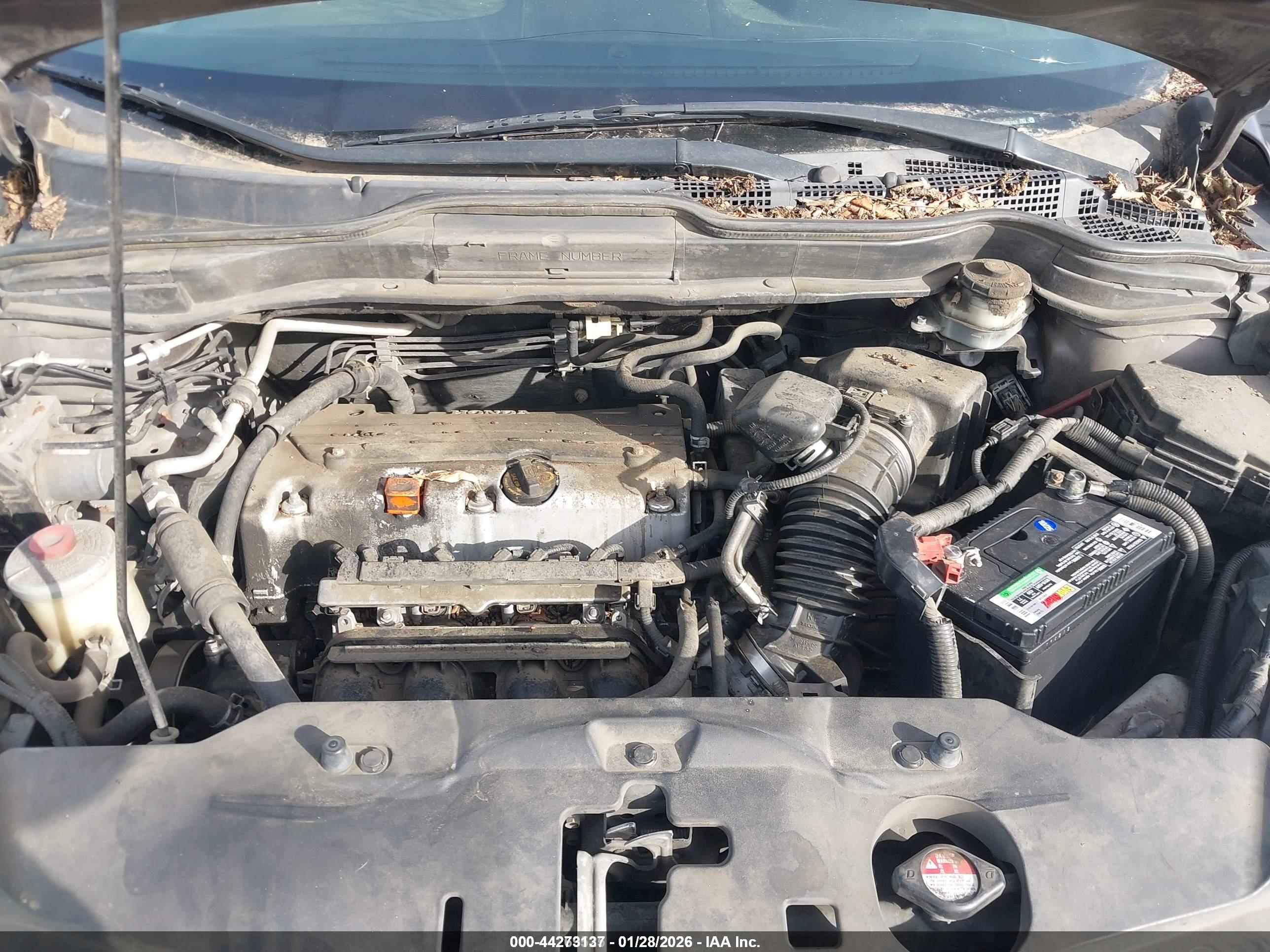 HONDA CR-V image 10