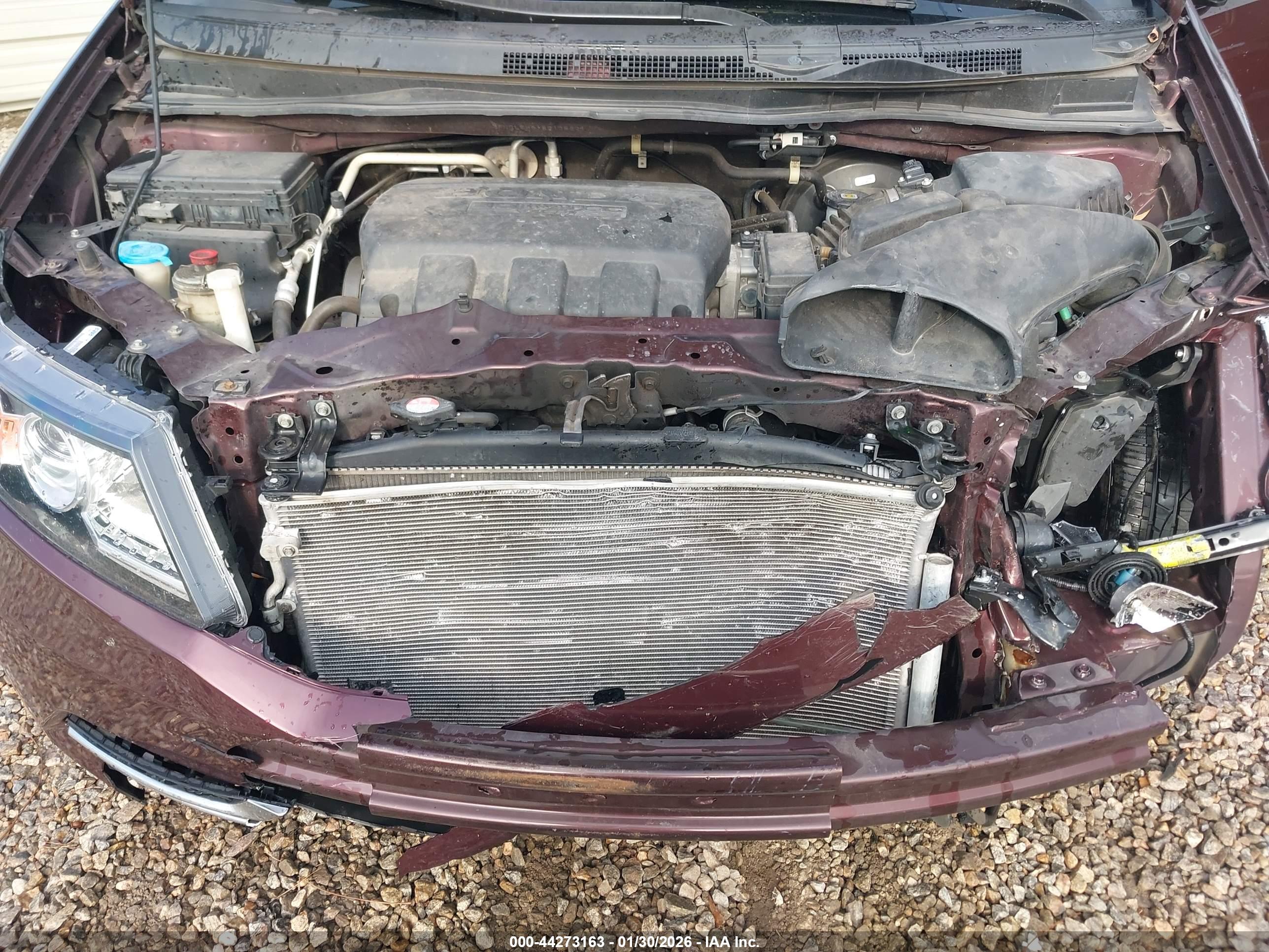 HONDA ODYSSEY image 10