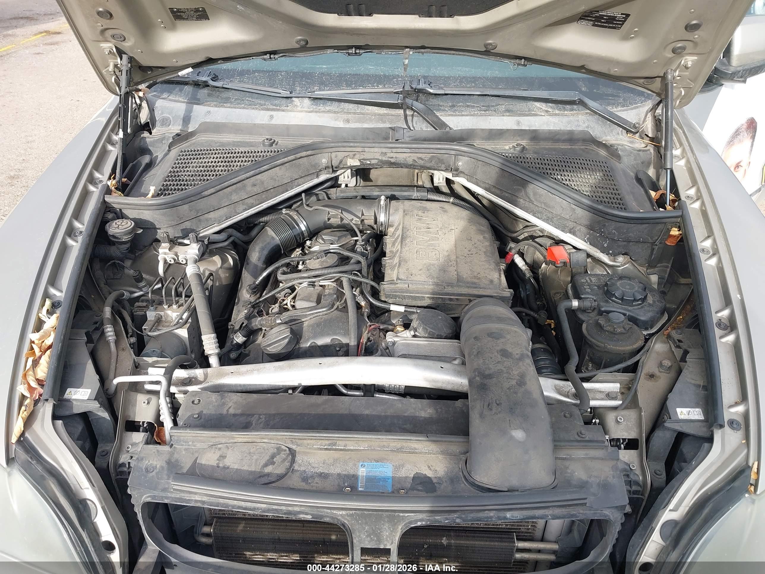 BMW X5 image 10