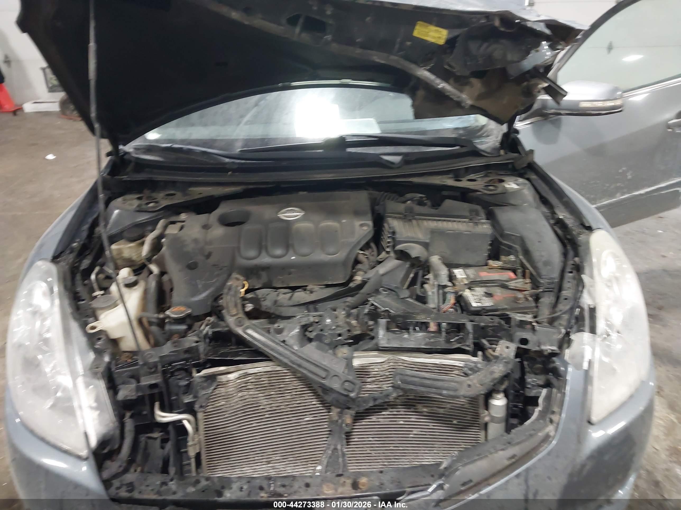 NISSAN ALTIMA image 10