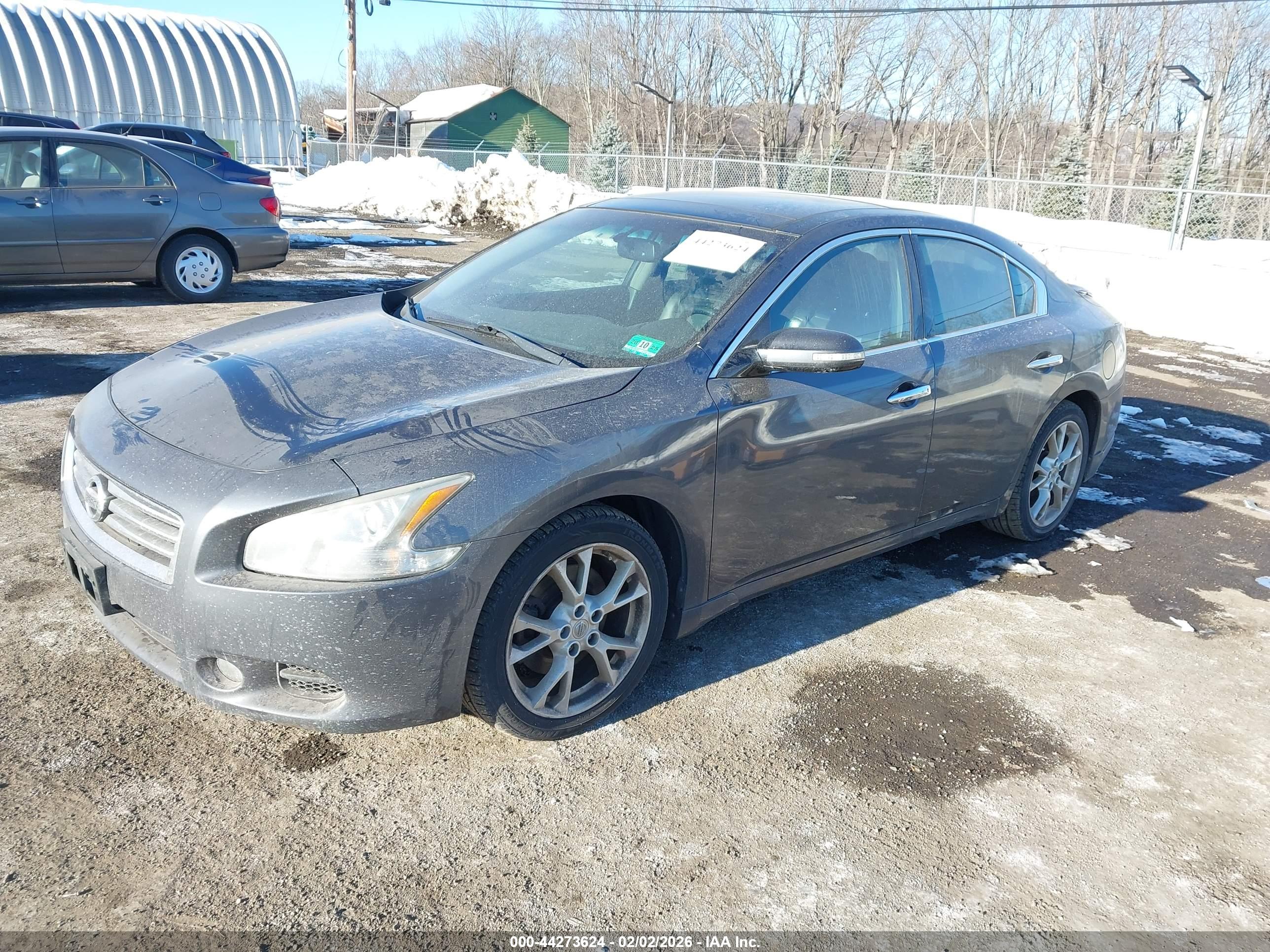 NISSAN MAXIMA image 2