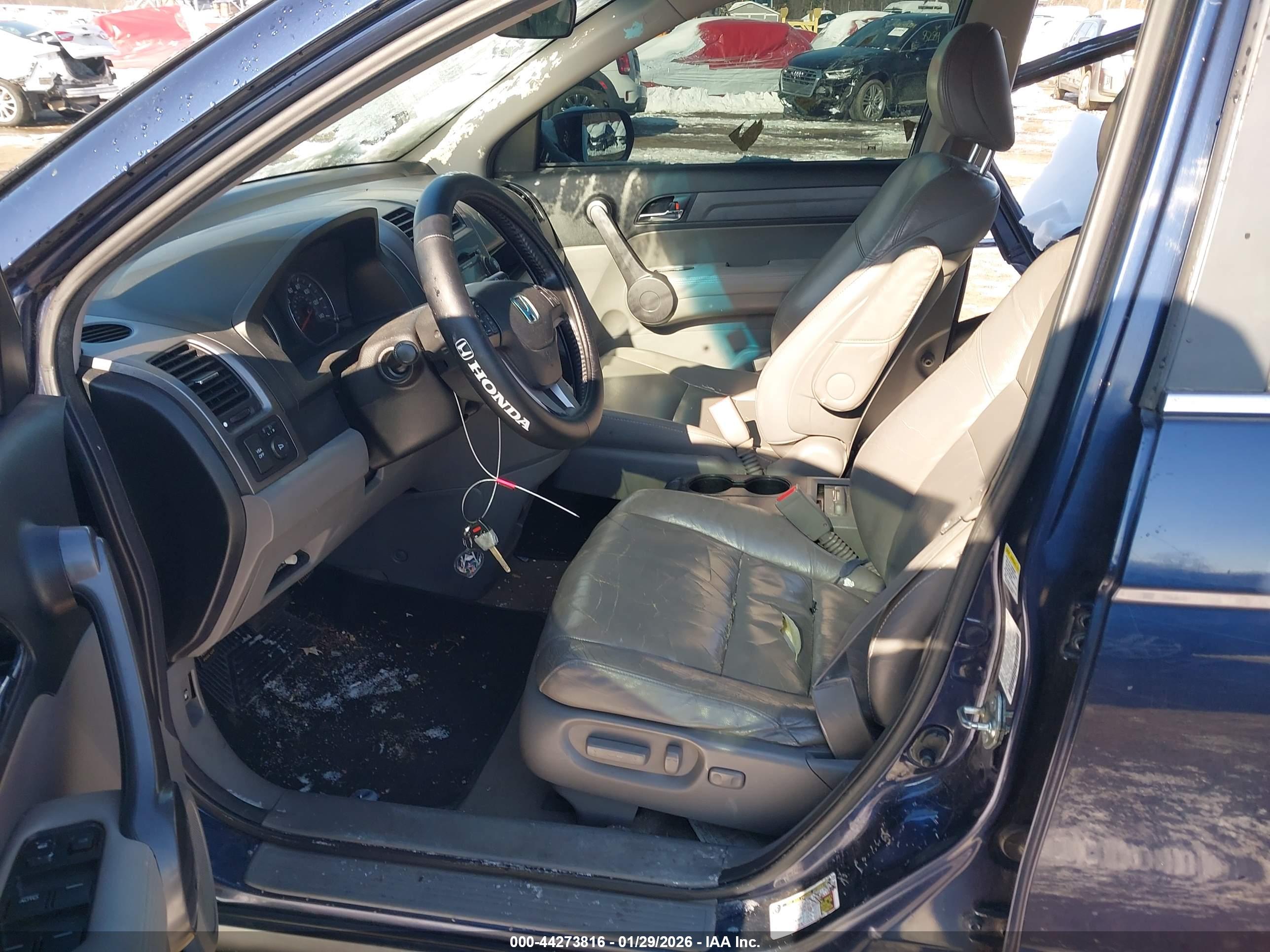 HONDA CR-V image 5