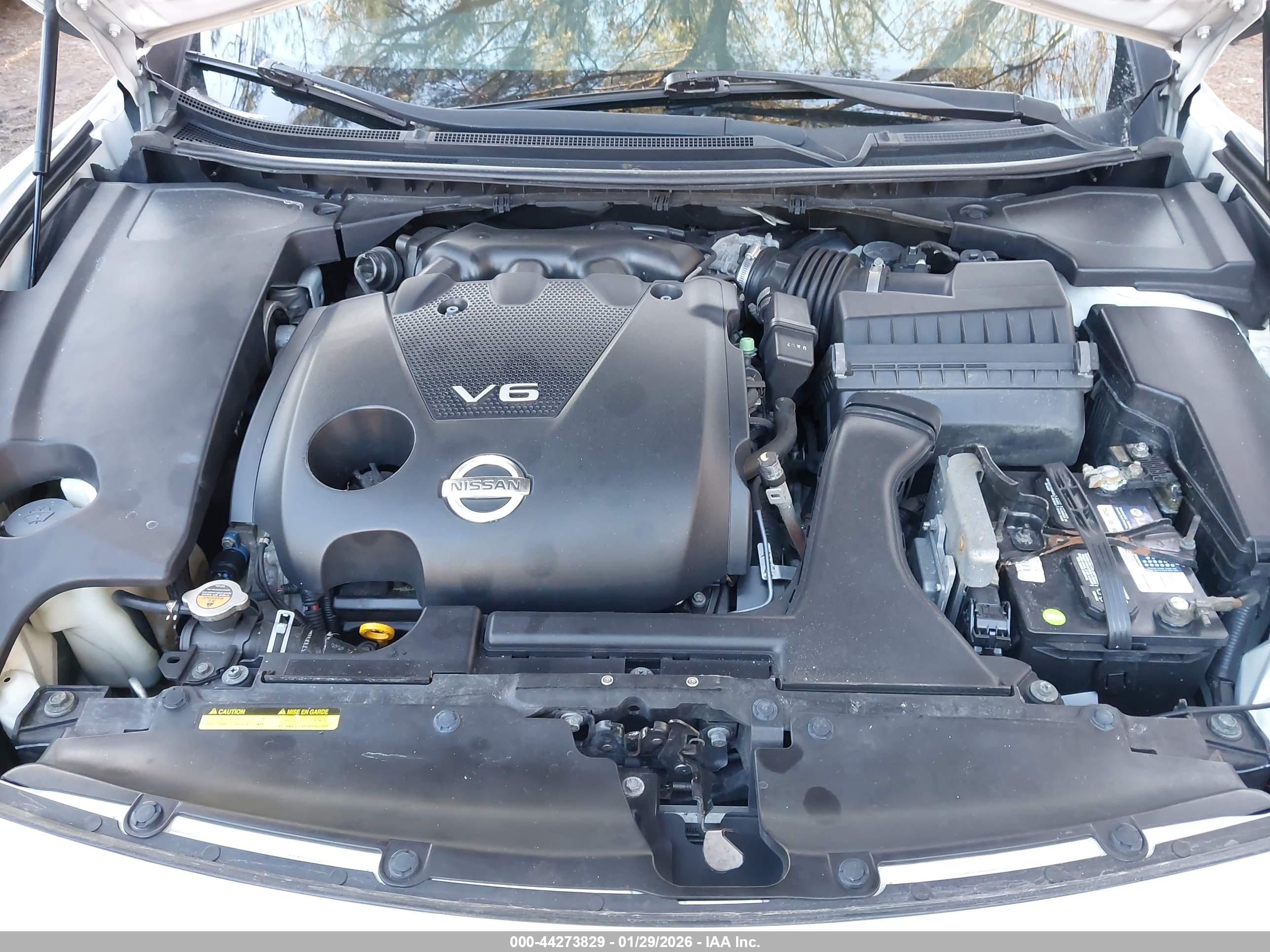 NISSAN MAXIMA image 10