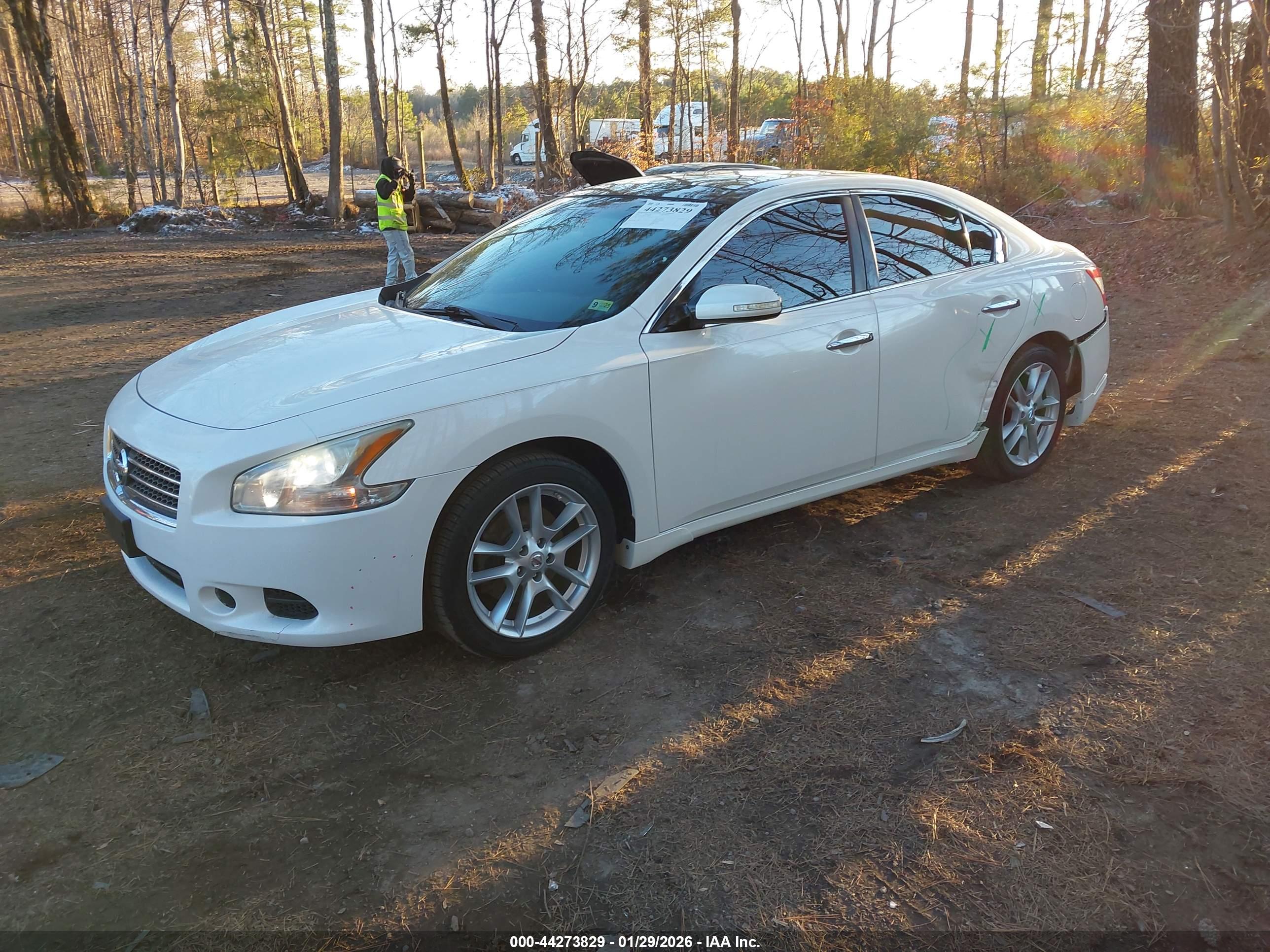 NISSAN MAXIMA image 2