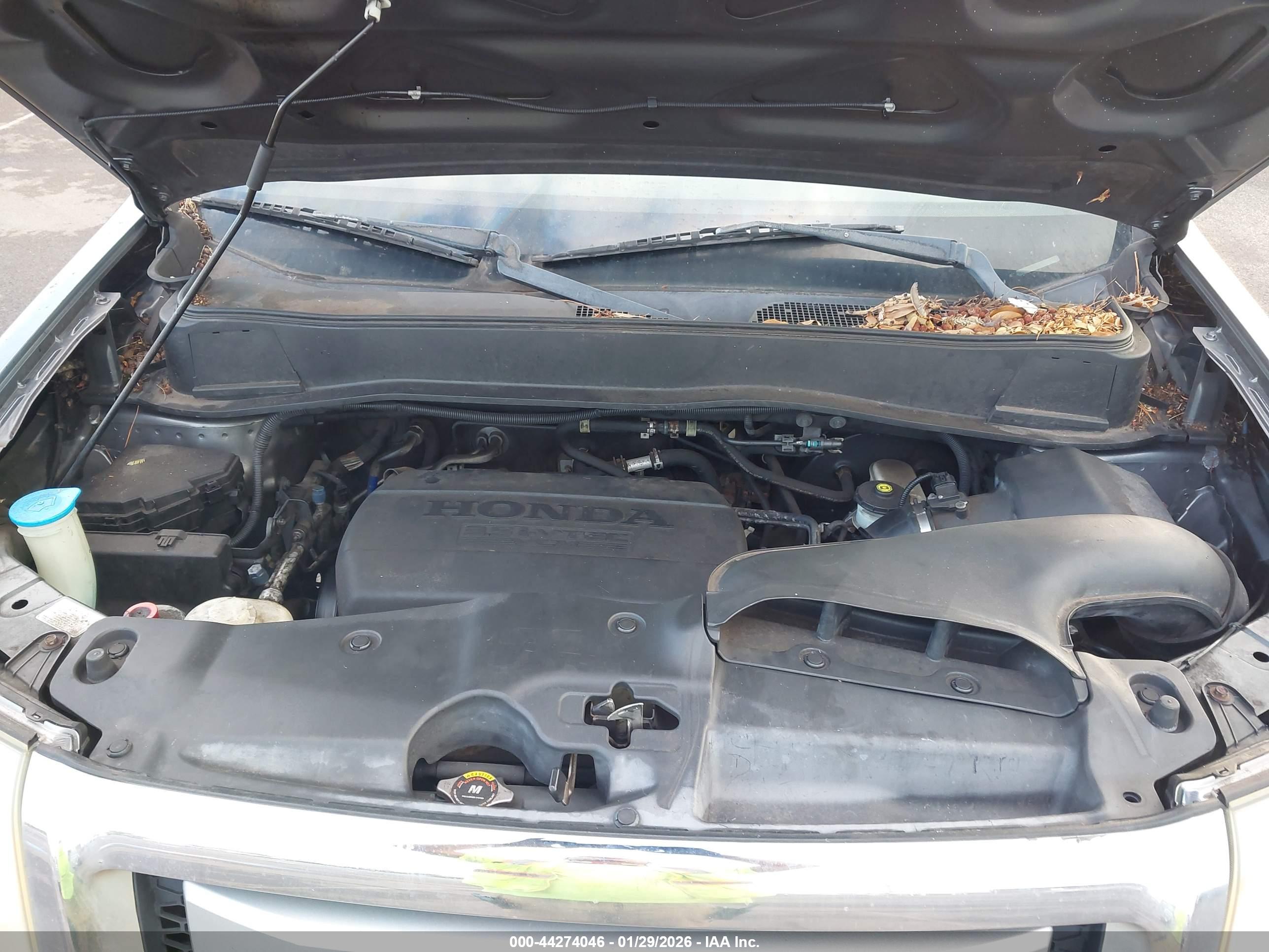 HONDA PILOT image 10