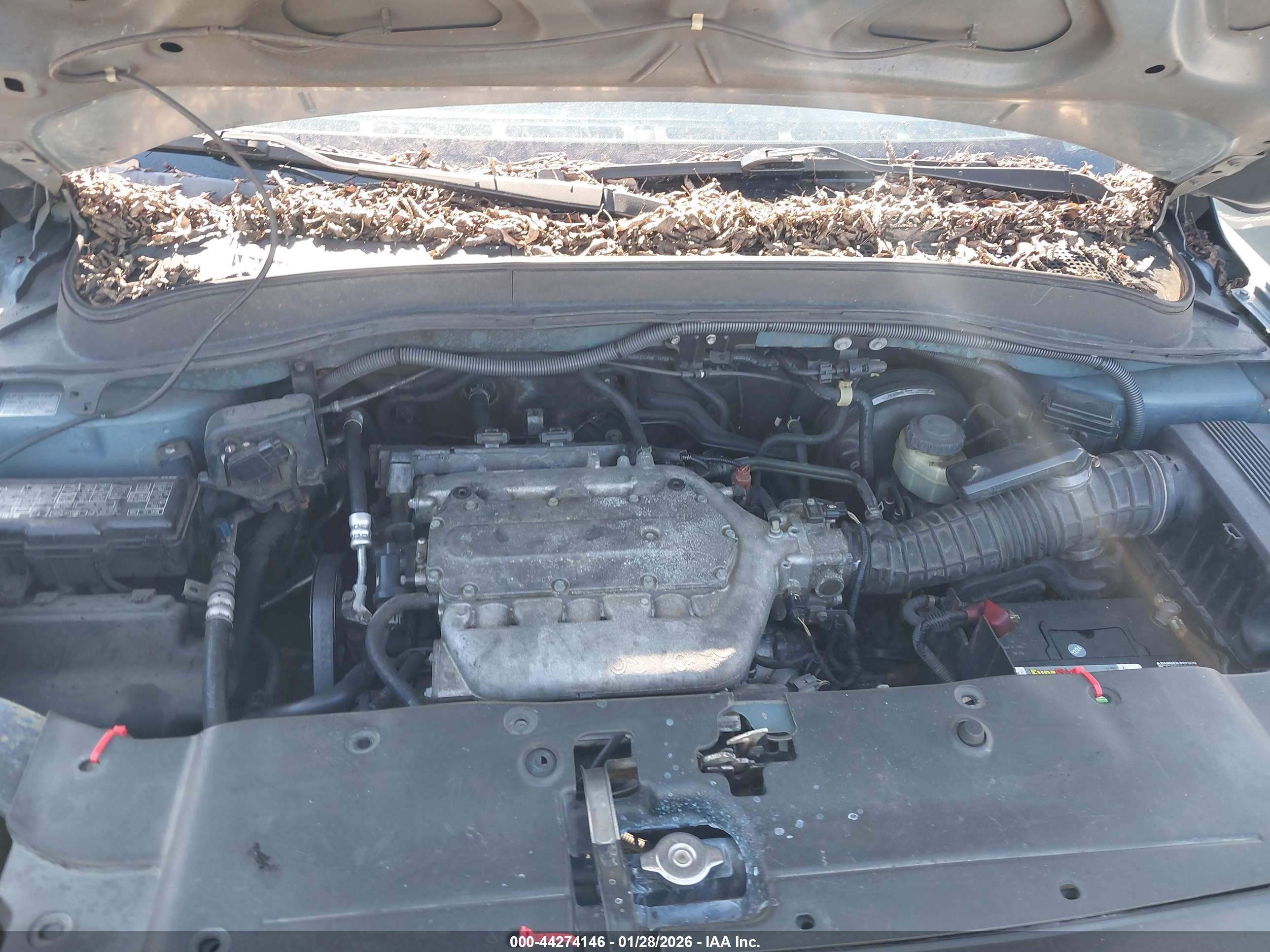 HONDA PILOT image 10