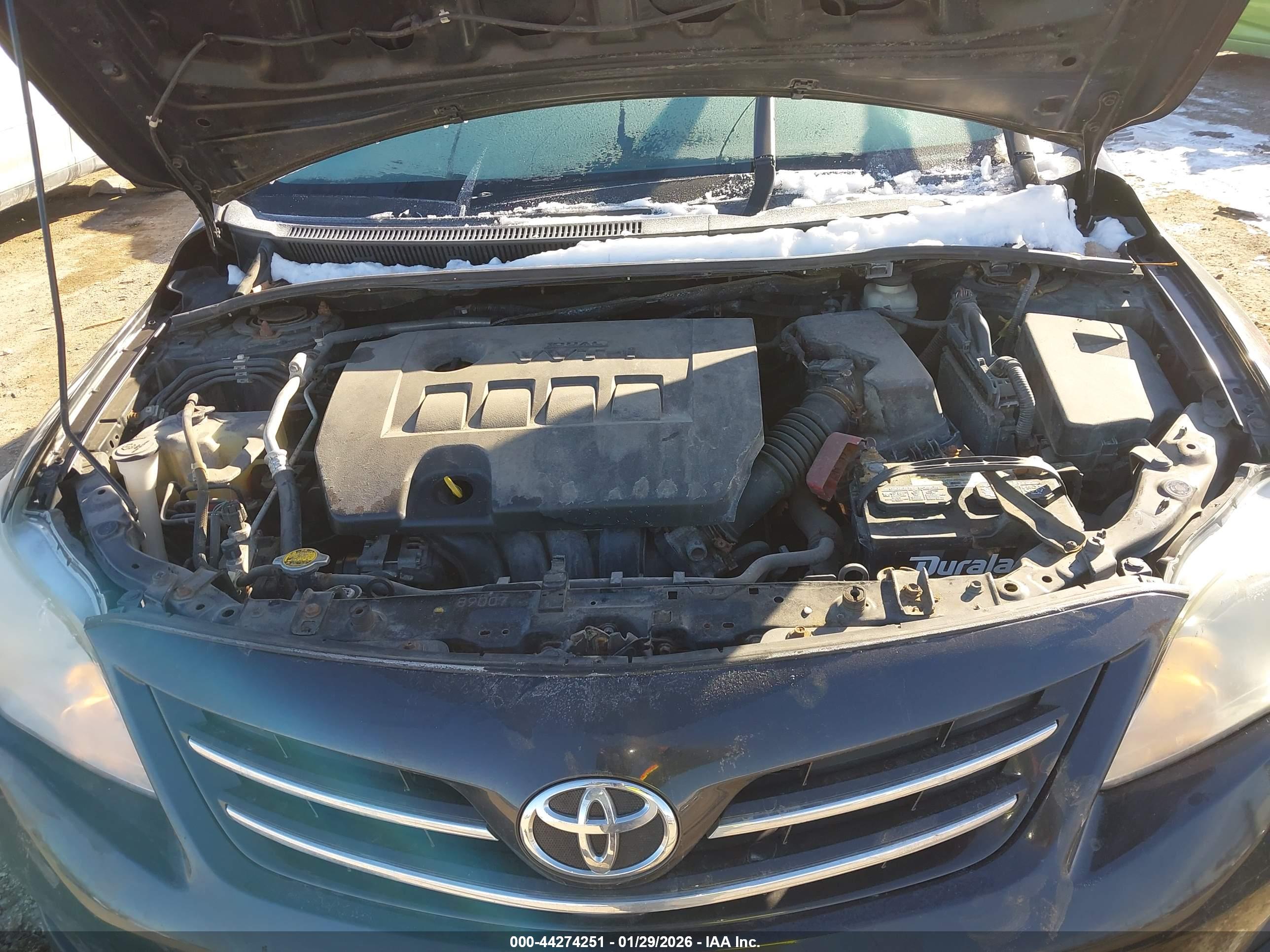 TOYOTA COROLLA image 10