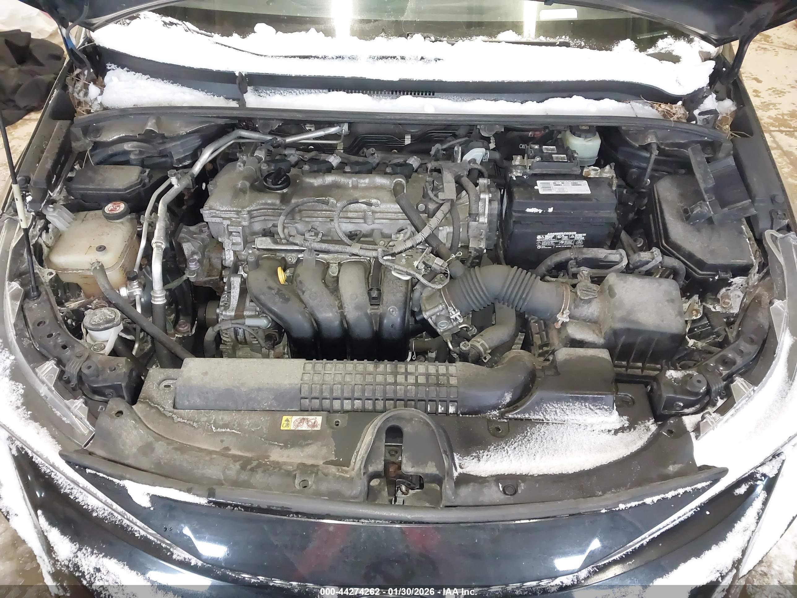 TOYOTA COROLLA image 10
