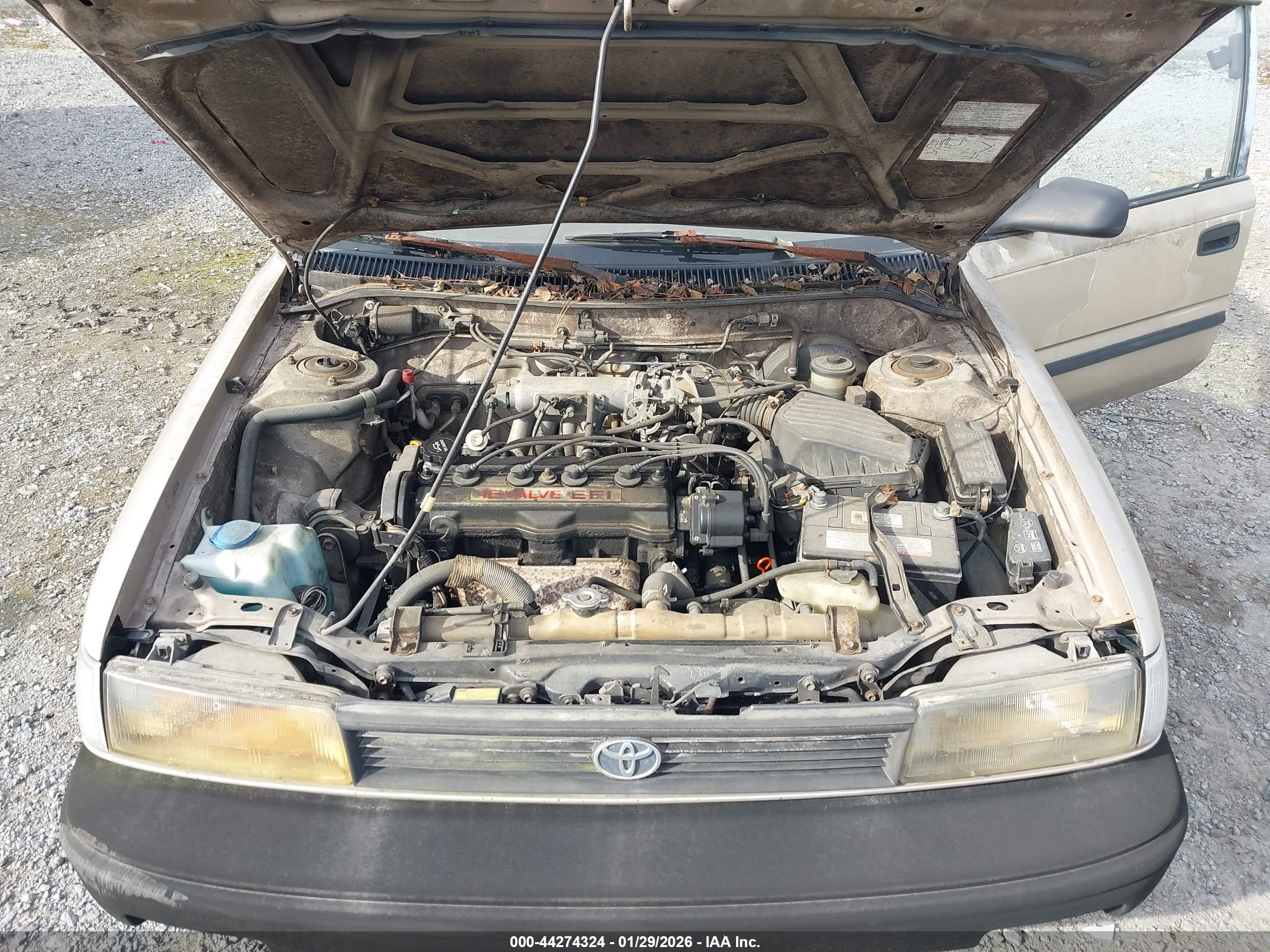 TOYOTA COROLLA image 10