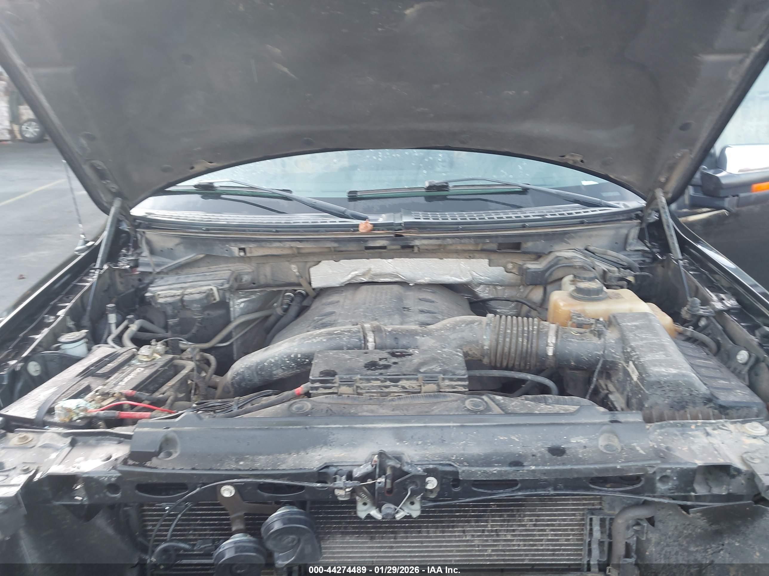 FORD F-150 image 10