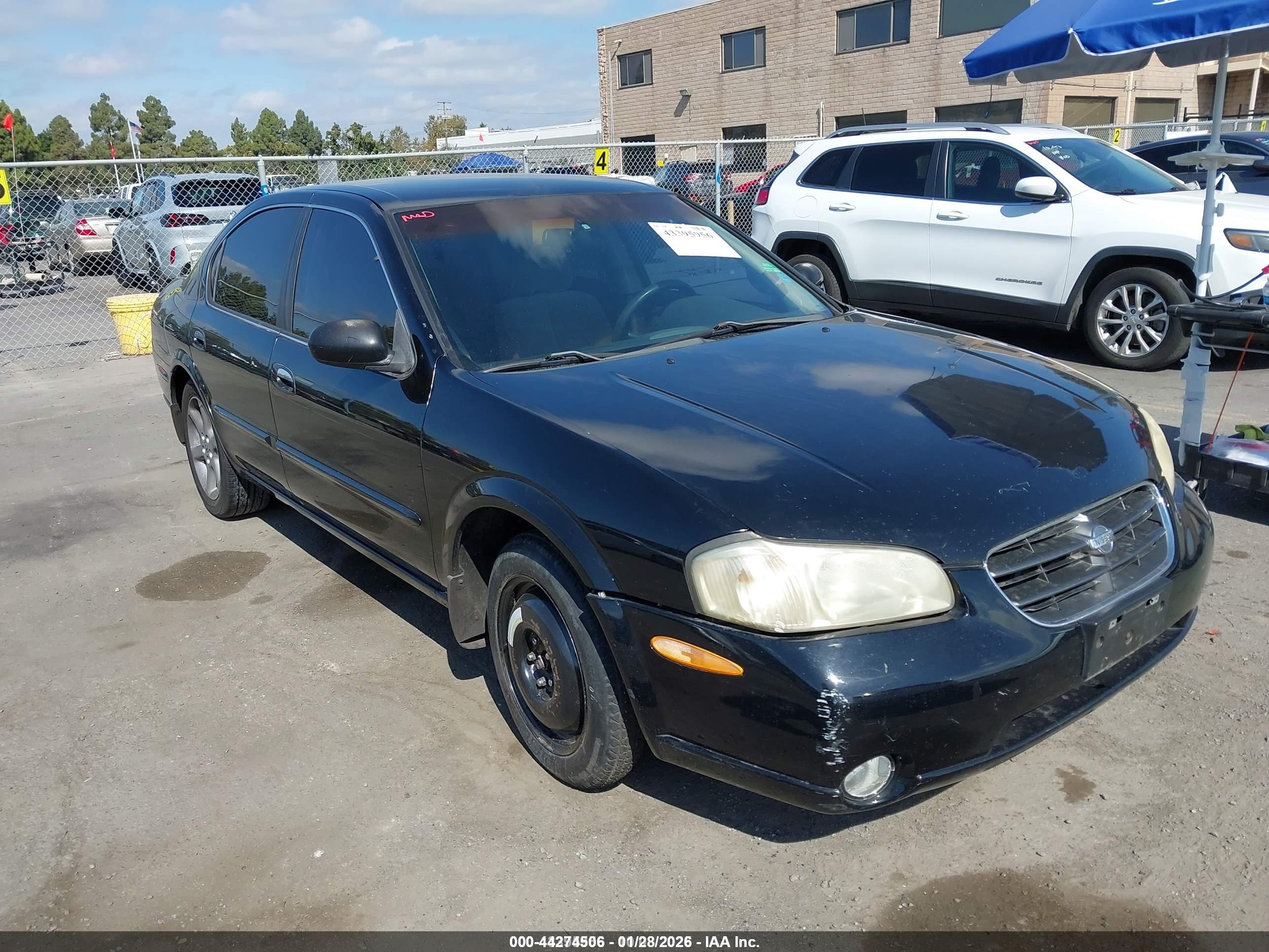 NISSAN MAXIMA image 6