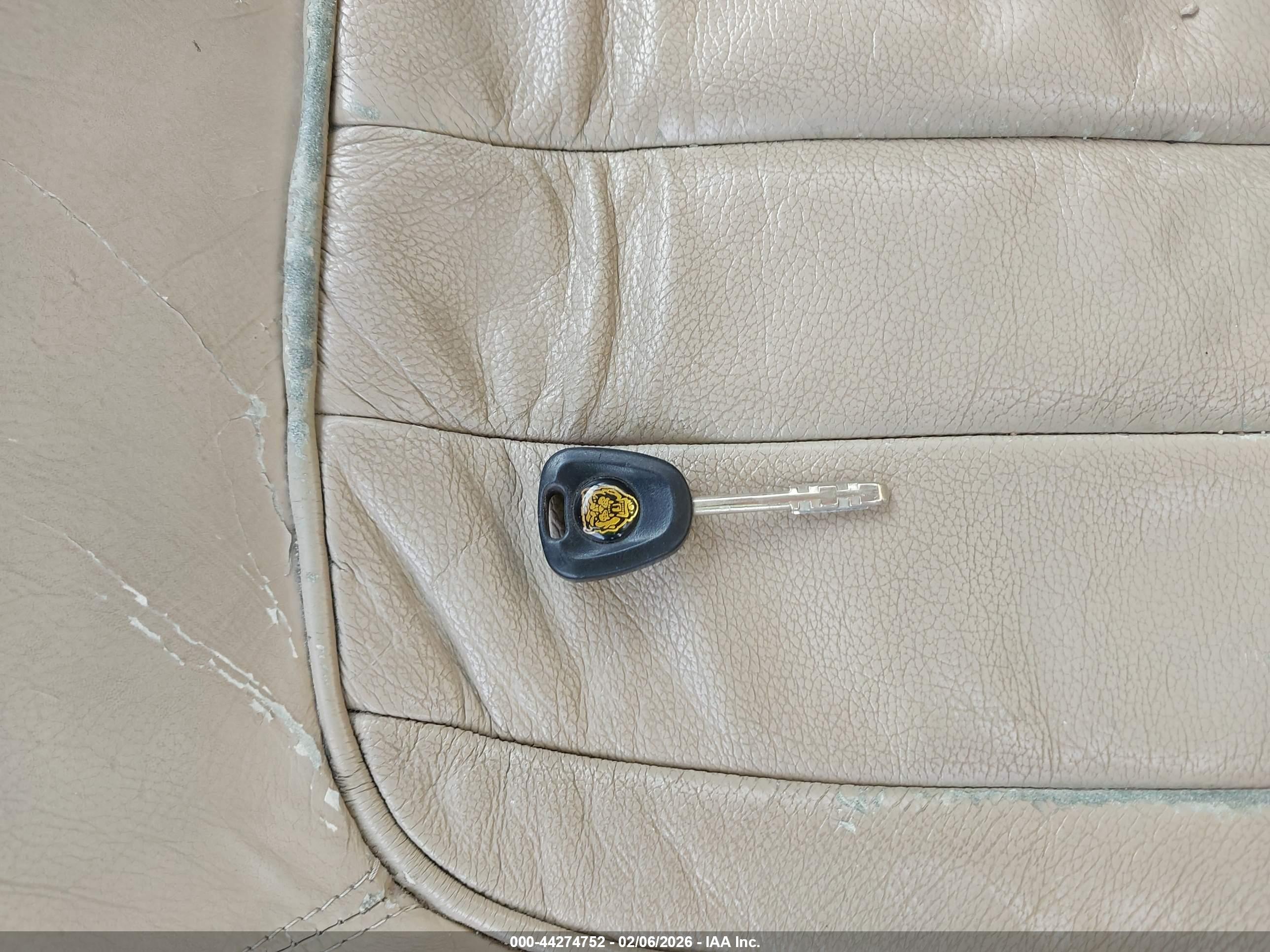 JAGUAR VANDENPLAS image 11