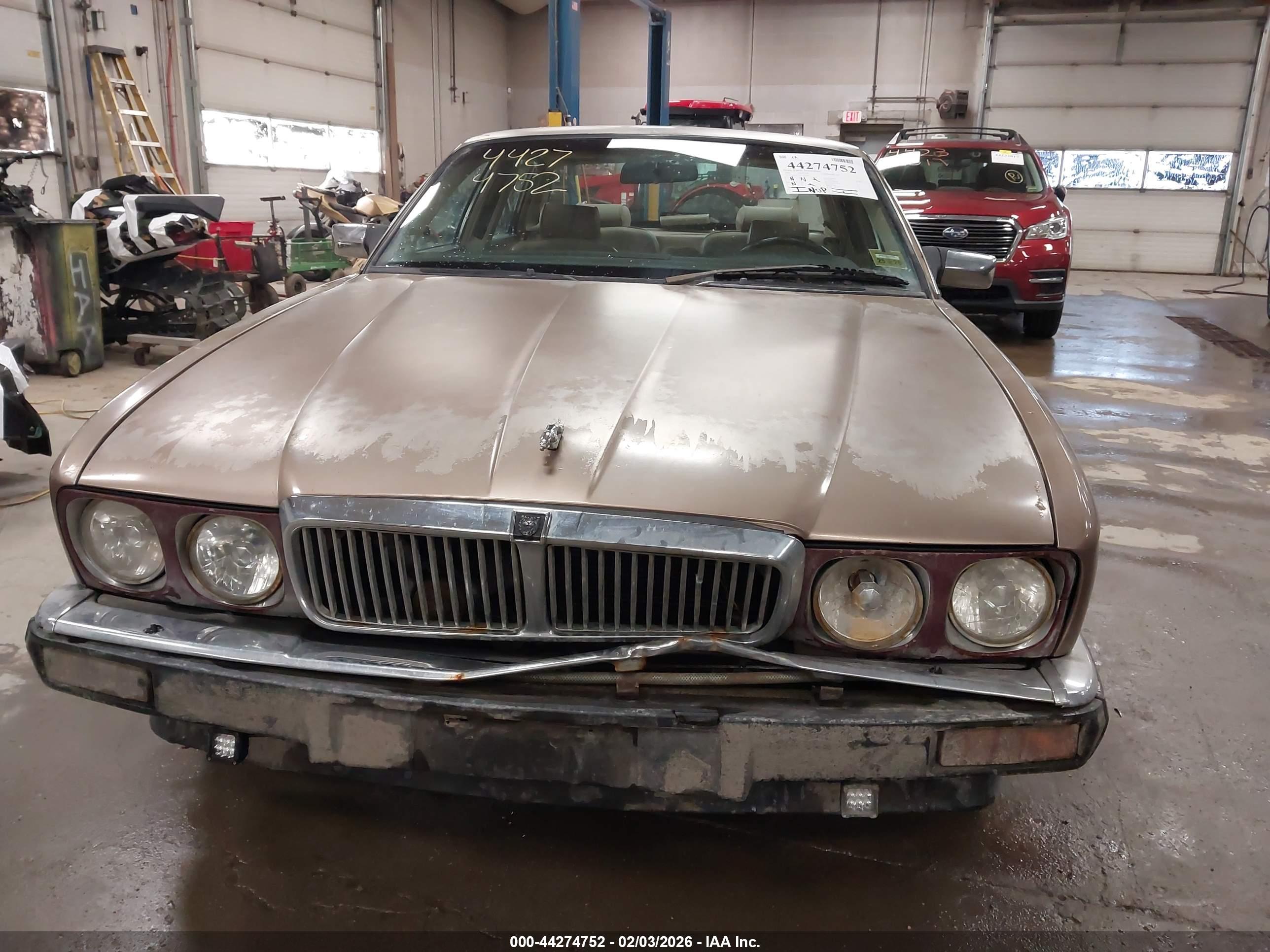 JAGUAR VANDENPLAS image 6
